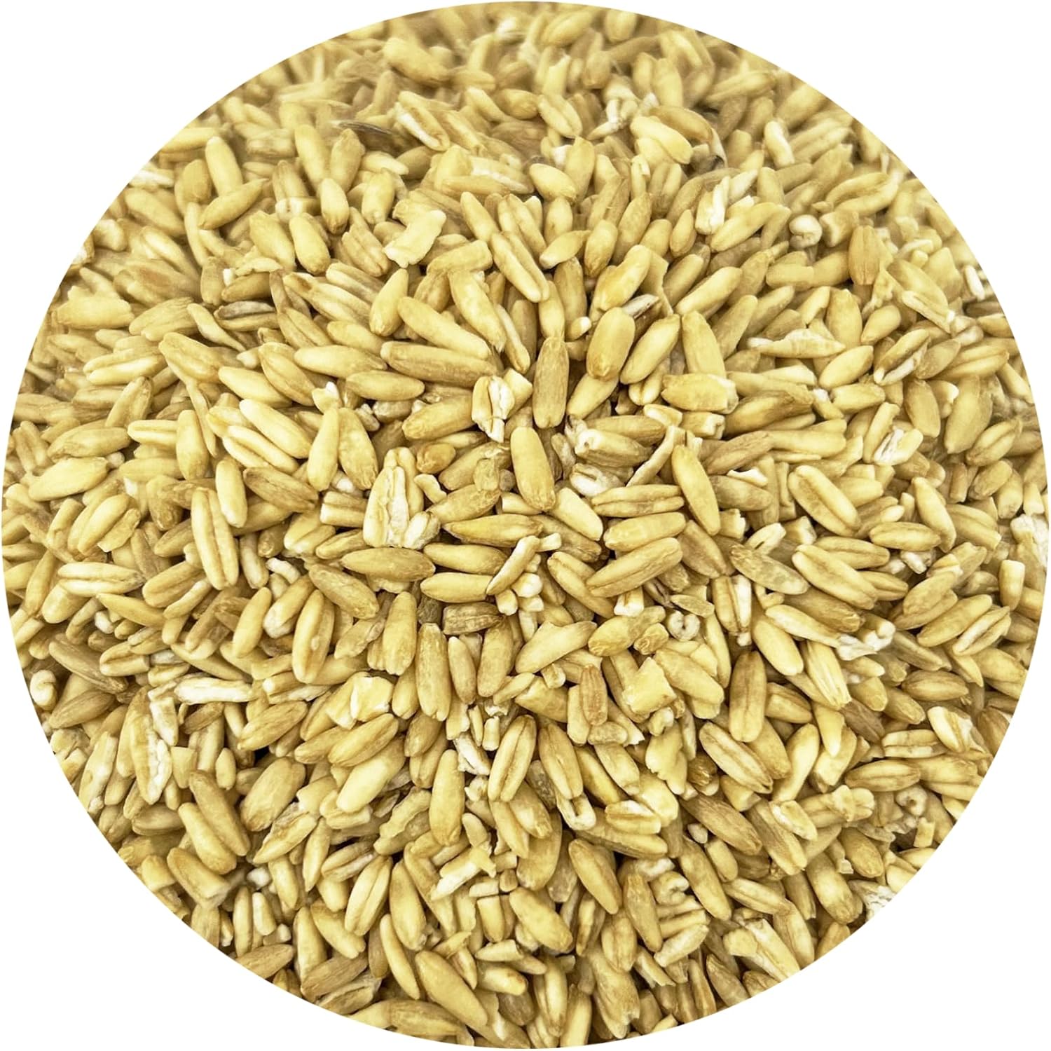 organic-oat-groats-for-birds---fiber-mineral-rich-feed-usda-ccof-certified-2lbs-made-in-usa-2