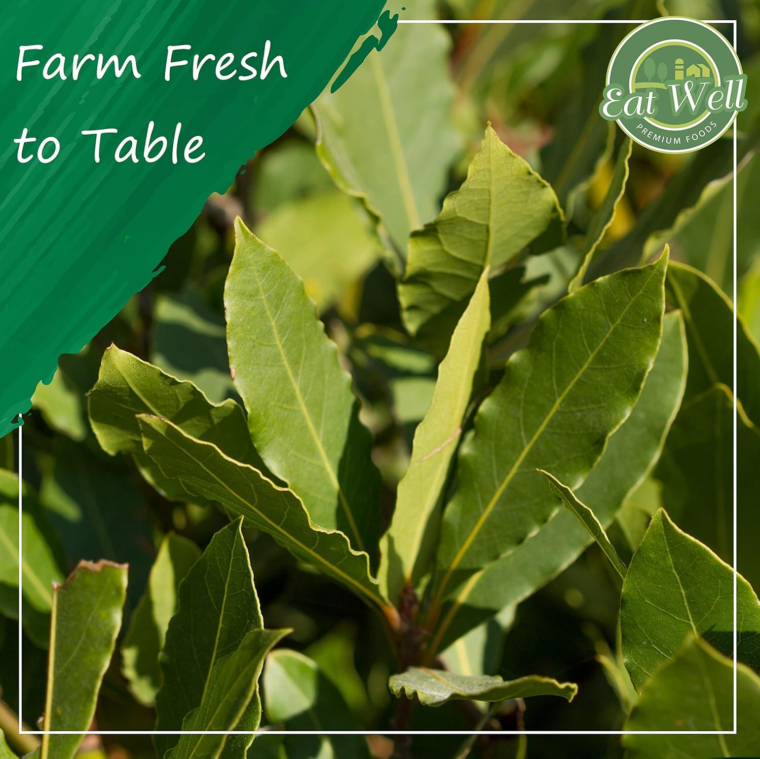premium-turkish-whole-dried-bay-leaves-2-oz---100-natural-laurel-tree-leaves-for-stewing-and-tea-4