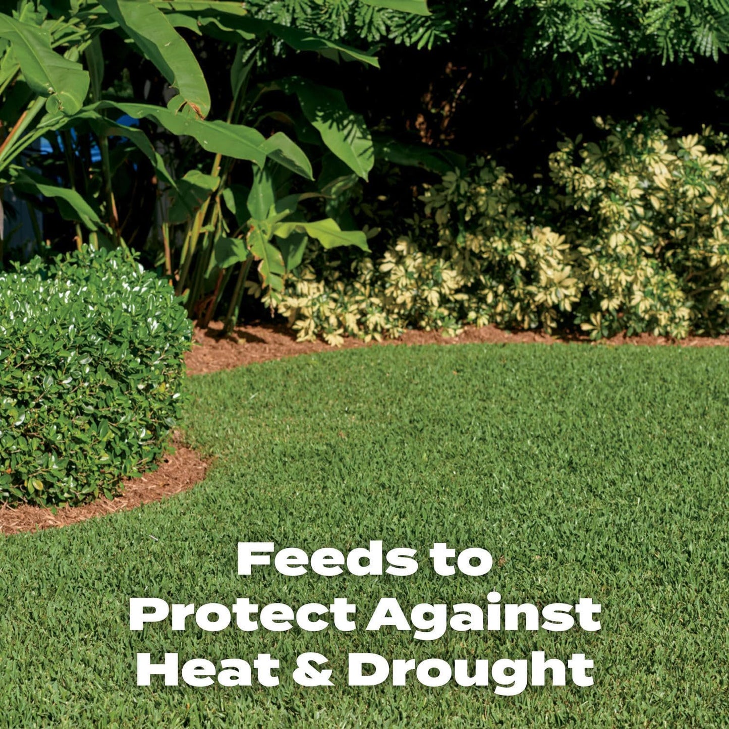 Scotts Turf Builder Southern Lawn Fertilizer - 10,000 sq. ft., 28.12 lbs. - Southern Grass Formula - Espot.com.au