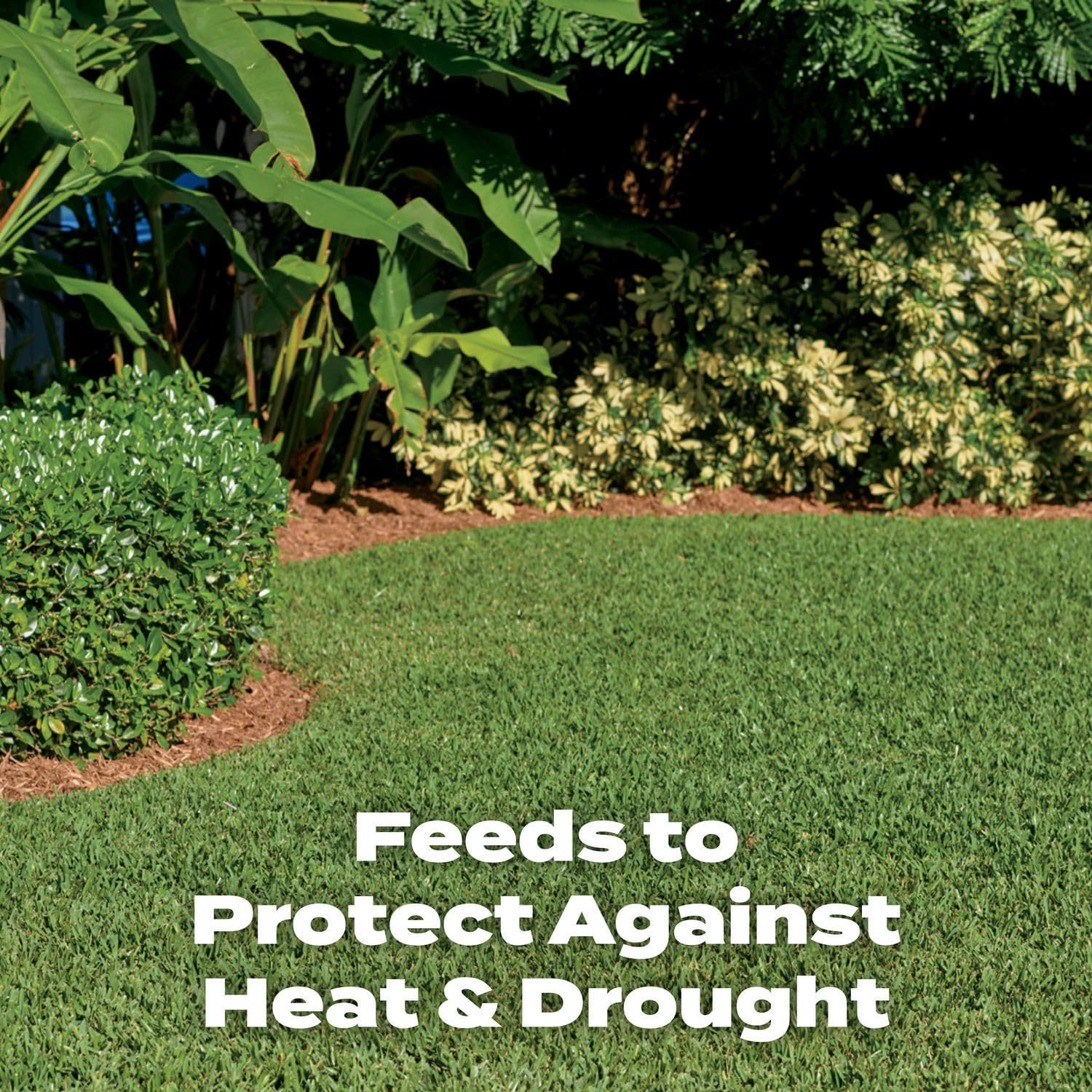 Scotts Turf Builder Southern Lawn Fertilizer - 10,000 sq. ft., 28.12 lbs. - Southern Grass Formula - Espot.com.au