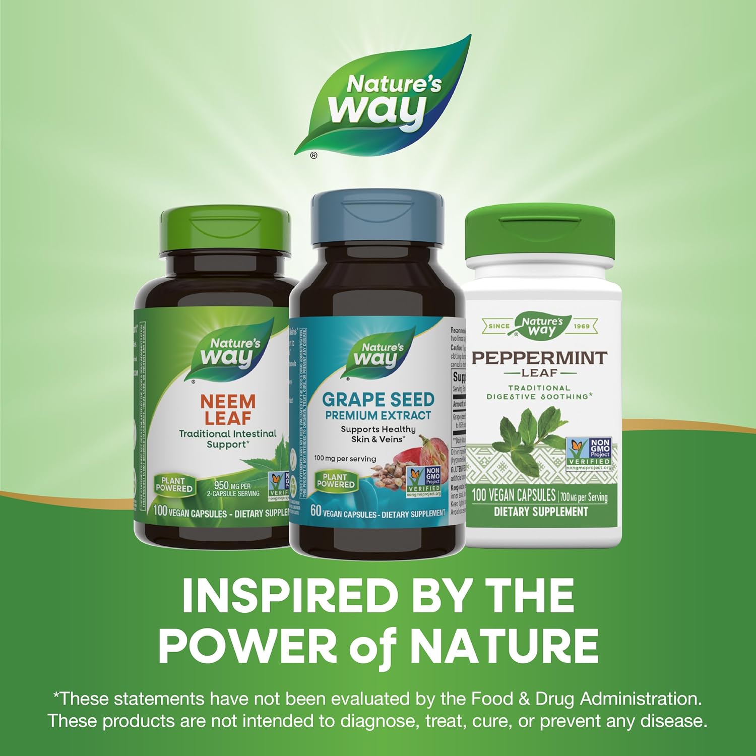 Non-GMO Grape Seed Premium Extract Capsules for Healthy Skin & Veins - Antioxidant Support - 60 Vegan Capsules - Espot.com.au