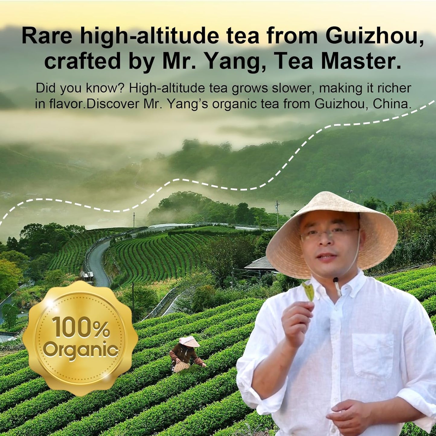 organic-decaffeinated-green-tea-bags---unsweetened-loose-leaf-tea-with-super-antioxidants---30-count-3