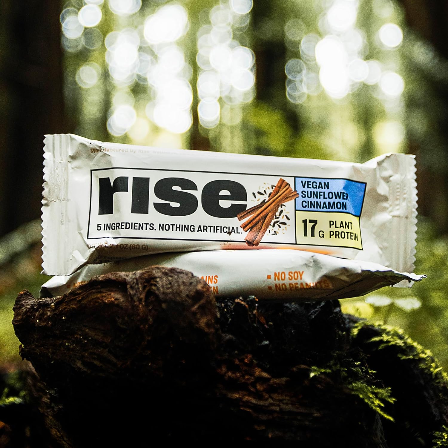 vegan-sunflower-cinnamon-protein-bar-rise-pea-protein-breakfast-snack-17g-protein-non-gmo-gluten-free-soy-free-5-whole-food-ingredients-8