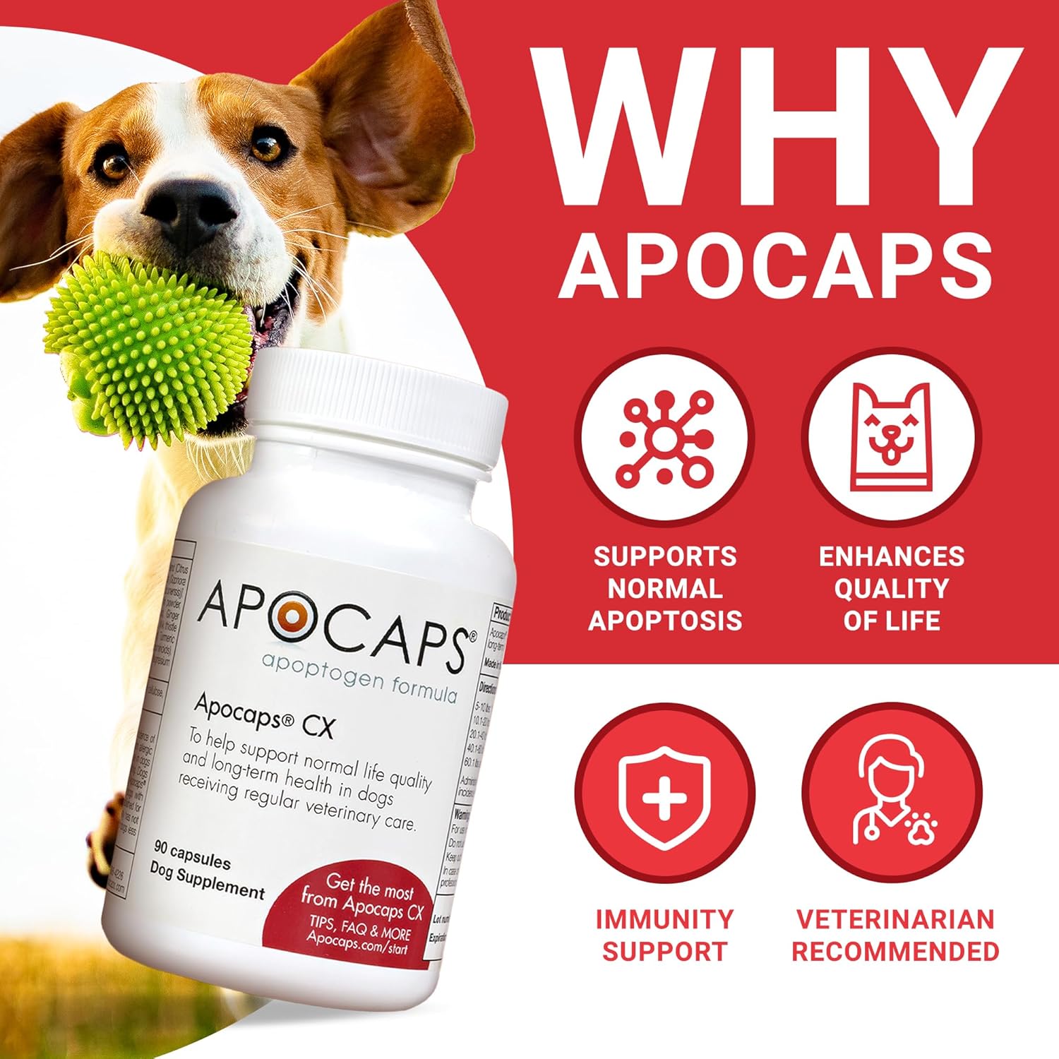 apocaps-cx-apoptogen-formula-for-dogs-90-count-pack---supports-dog-health-and-wellbeing-2