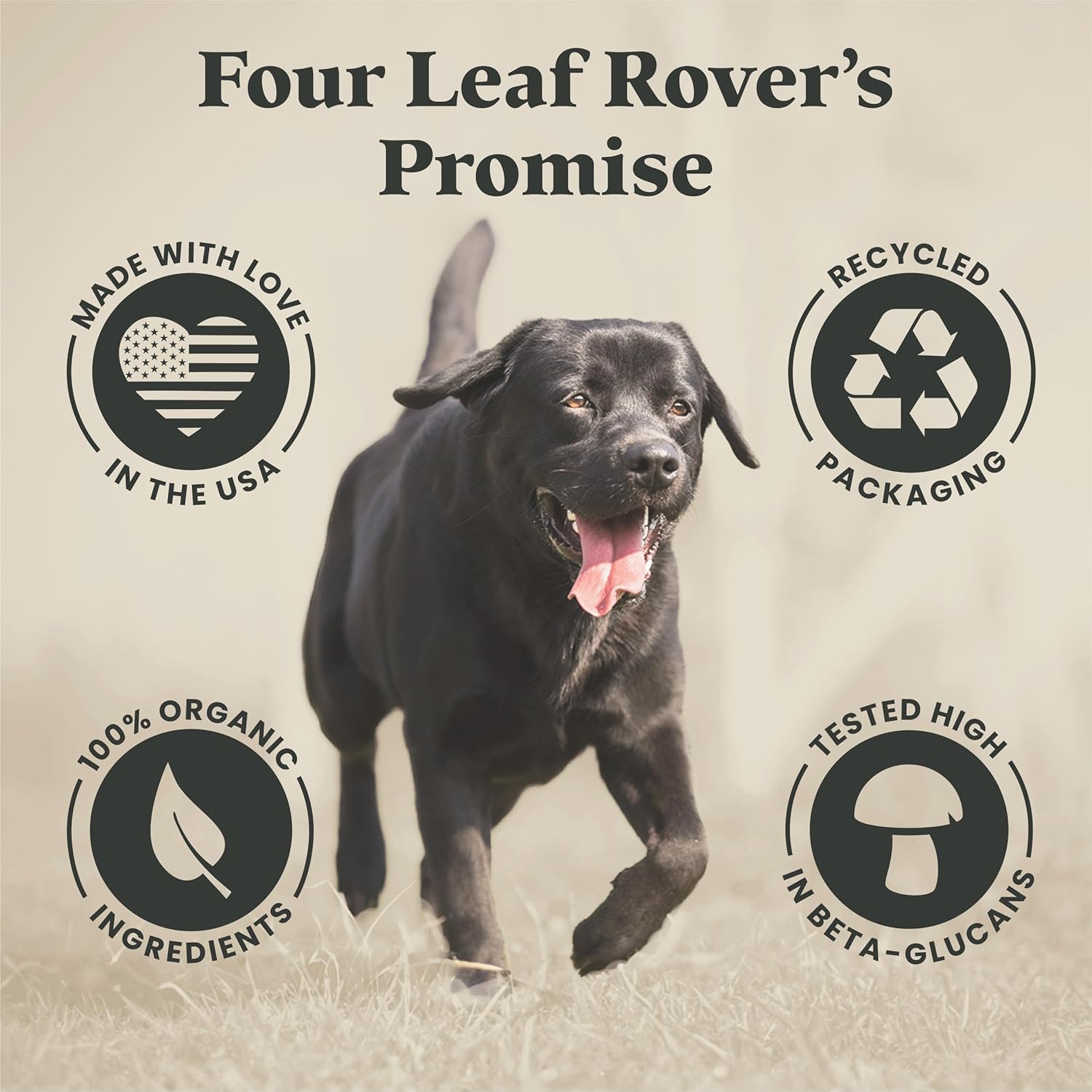 organic-turkey-tail-mushroom-for-dogs---high-beta-glucans---grain-free---60-day-supply-for-large-dogs-7