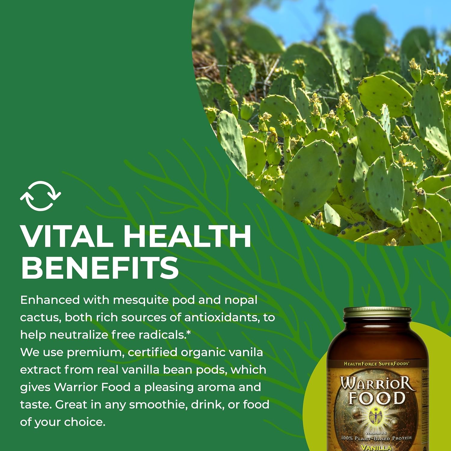 organic-vanilla-flavored-warrior-food-protein-powder---500g-by-healthforce-superfoods-6