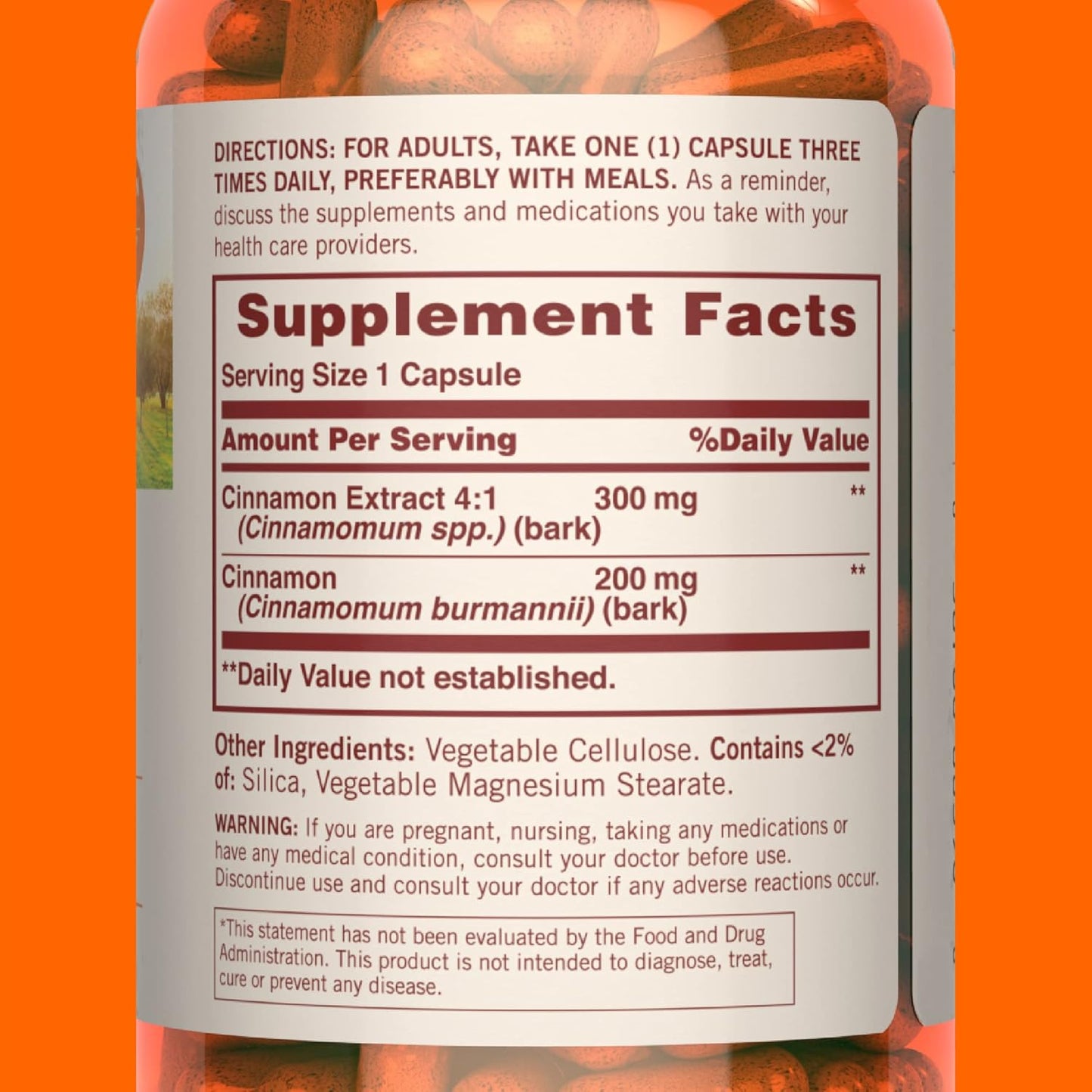 non-gmo-sundown-cinnamon-capsules---1000-mg-200-capsules---supports-sugar-metabolism---gluten-and-dairy-free-with-no-artificial-flavors-3