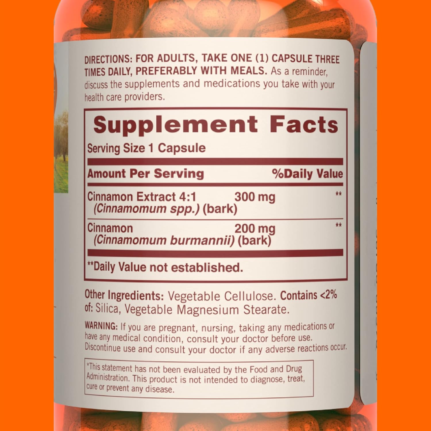 non-gmo-sundown-cinnamon-capsules---1000-mg-200-capsules---supports-sugar-metabolism---gluten-and-dairy-free-with-no-artificial-flavors-3