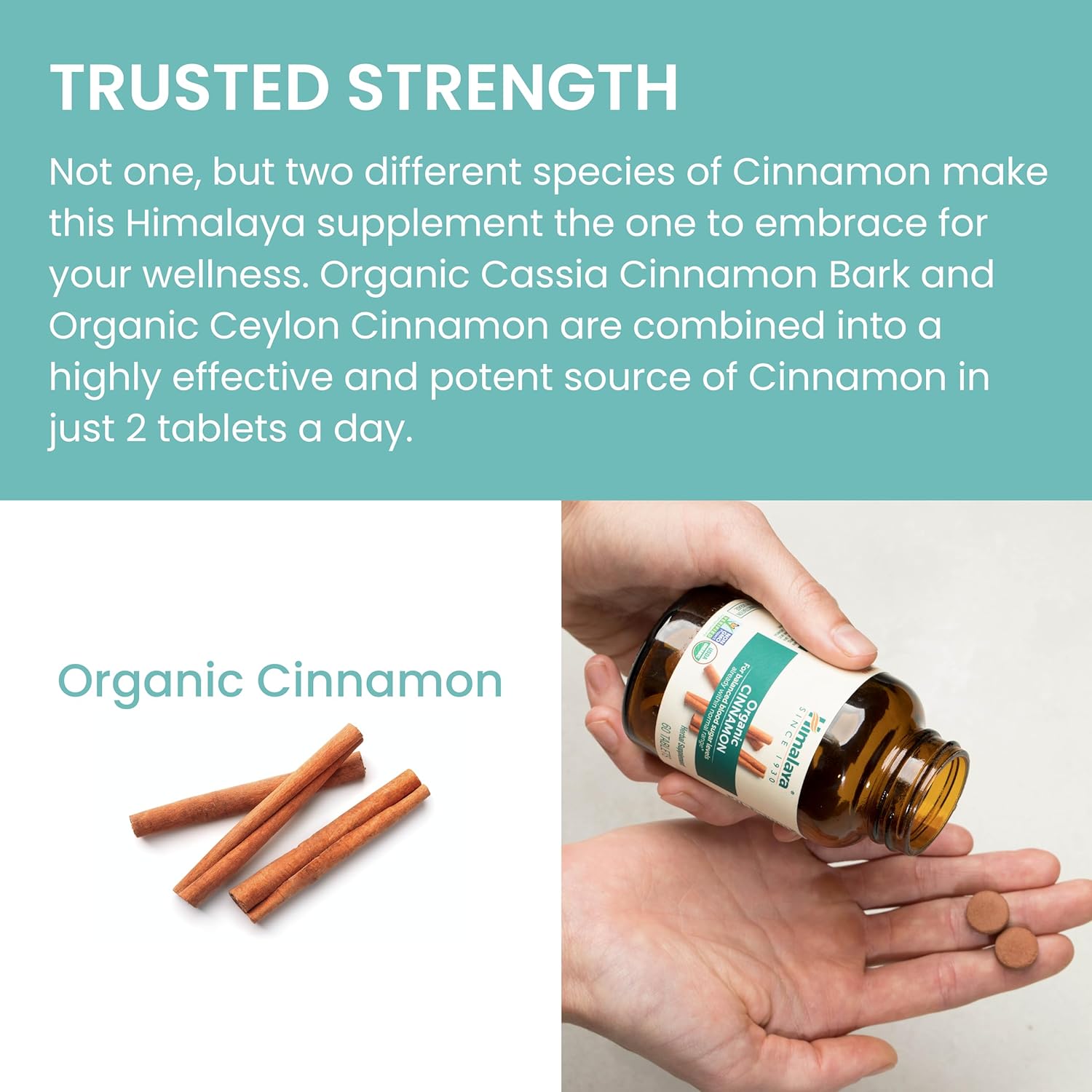 Organic Cinnamon Tablets for Glycemic Support - 1100mg Daily - Cassia & Ceylon Cinnamon Extract - Non-GMO - Vegan & Gluten-Free - 60 Tablets - Espot.com.au