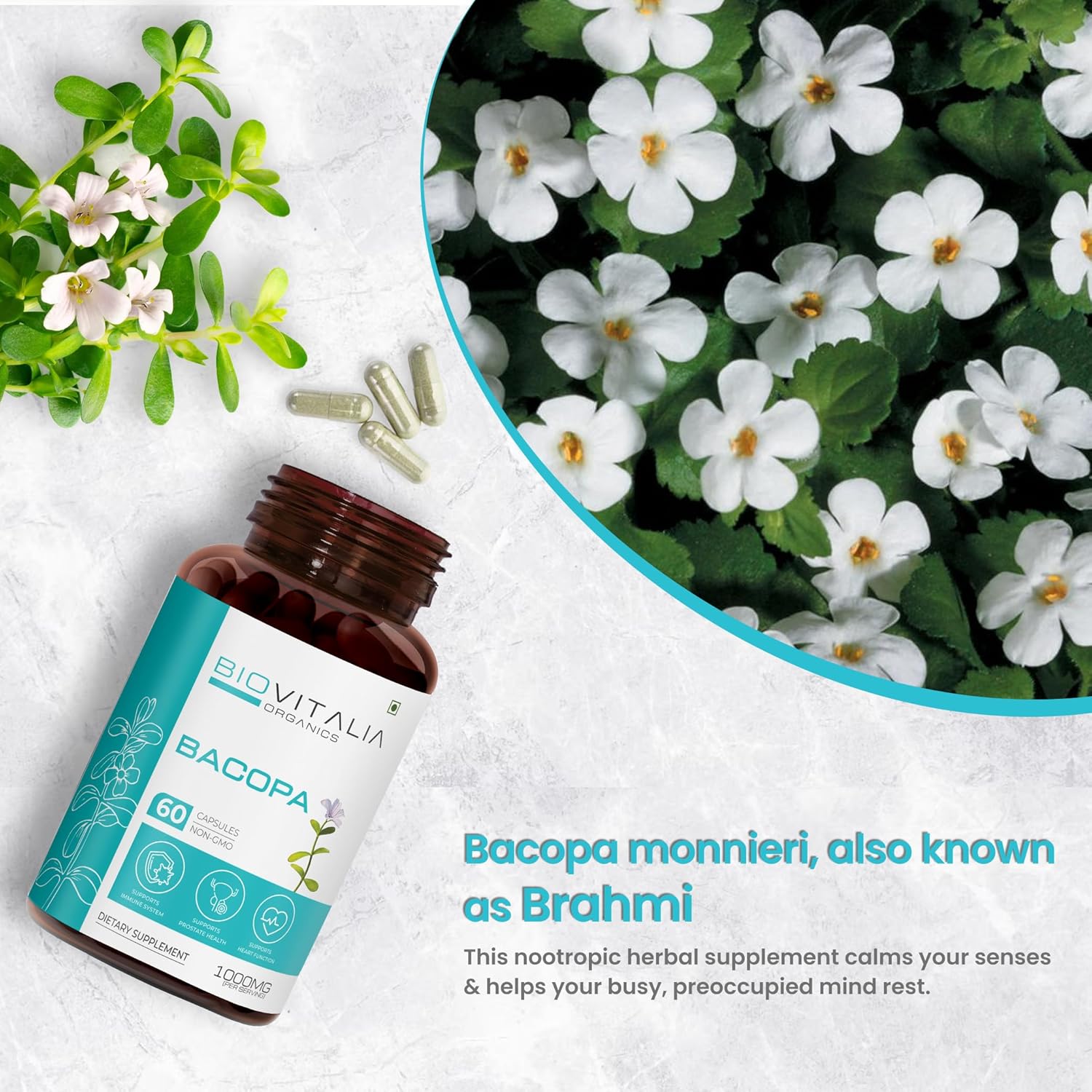organic-bacopa-supplement-capsules-for-brain-function---1000mg-60-capsules---biovitalia-organics-5
