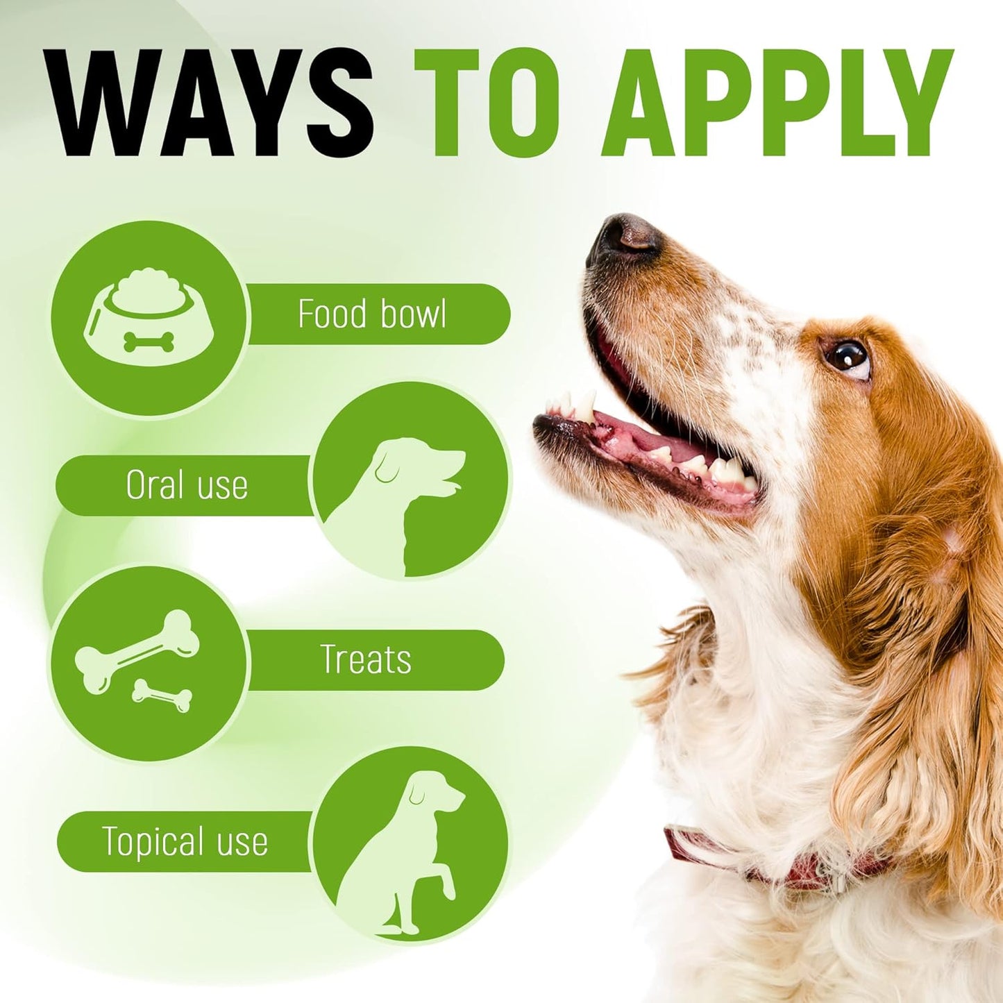 premium-liquid-probiotics-for-dogs-cats-natural-dietary-supplement-with-prebiotic-blend-supports-digestion-food-absorption-herbal-flavor-2-oz-bottle-5
