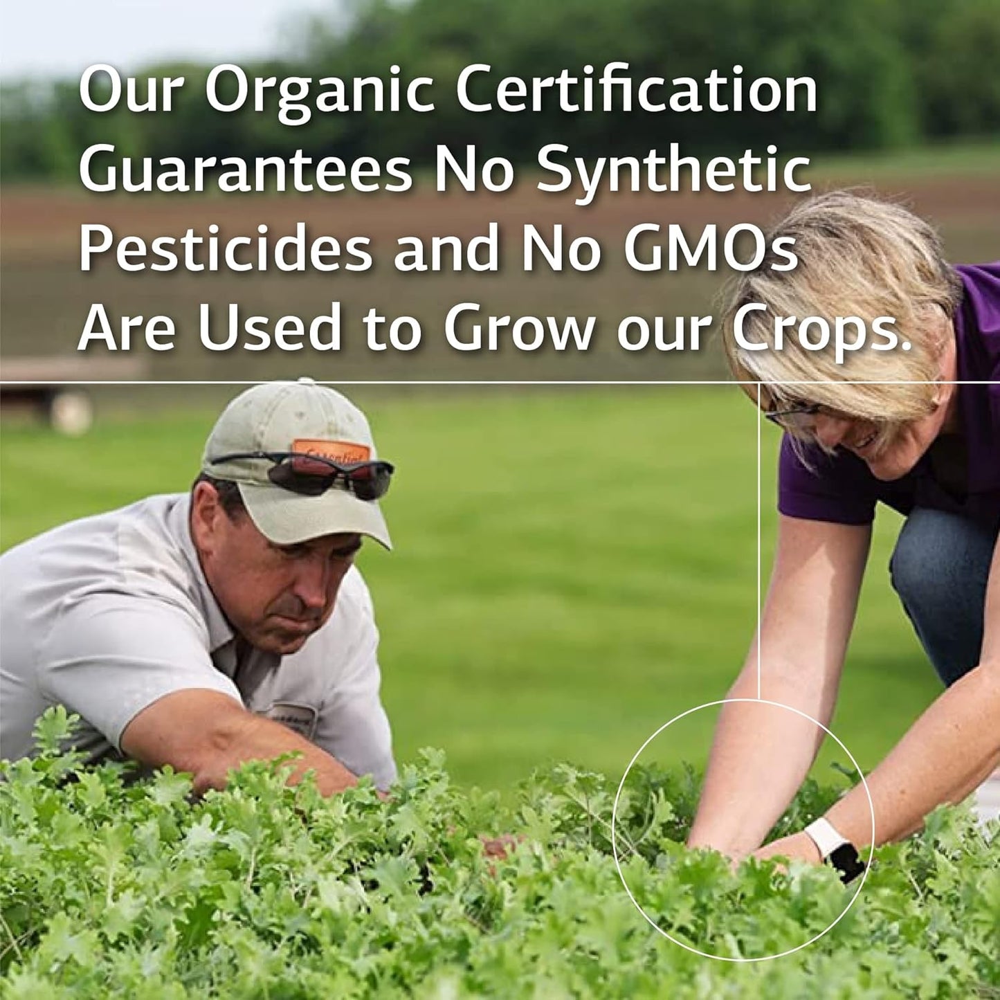 standard-process-cyruta---whole-food-supplement-for-cholesterol-immune-system-heart-health---90-tablets-4