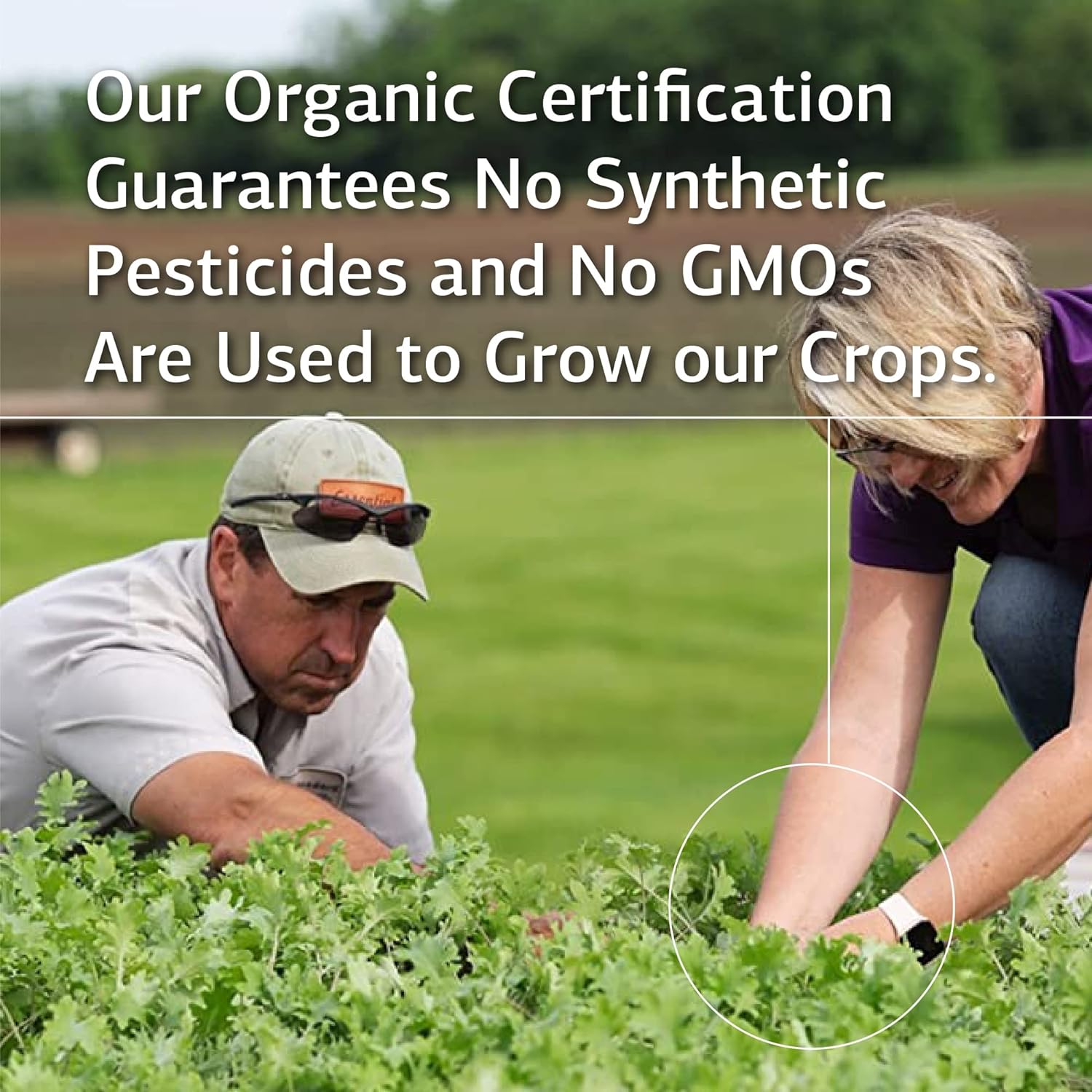 standard-process-cyruta---whole-food-supplement-for-cholesterol-immune-system-heart-health---90-tablets-4