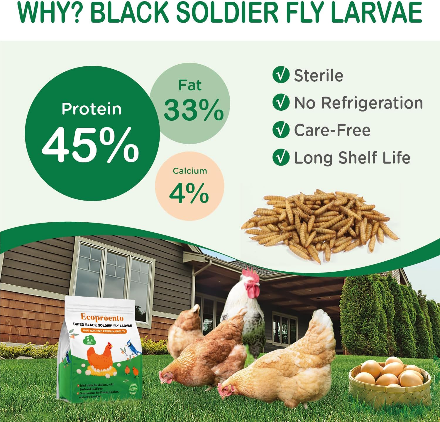 5-lbs-auciccoo-ecoproento-dried-black-soldier-fly-larvae---high-calcium-treats-for-chicken-duck-wild-bird-turtle---non-gmo-bsf-larvae---natural-snack-with-85x-more-calcium-than-mealworms-2