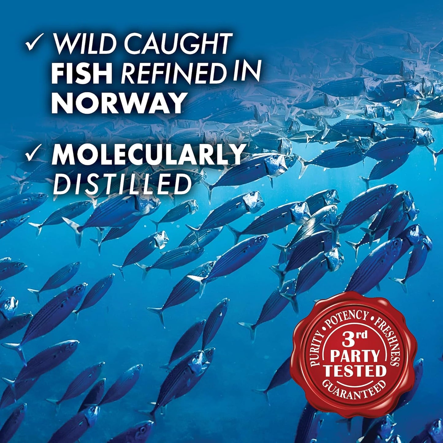 bluebonnet-nutrition-omega-3-brain-formula-1000mg-dha-210mg-epa-supplement---cognitive-health-wellness-support-with-wild-caught-triglyceride-form-highly-concentrated-softgels-lemon-flavor---120-count-4