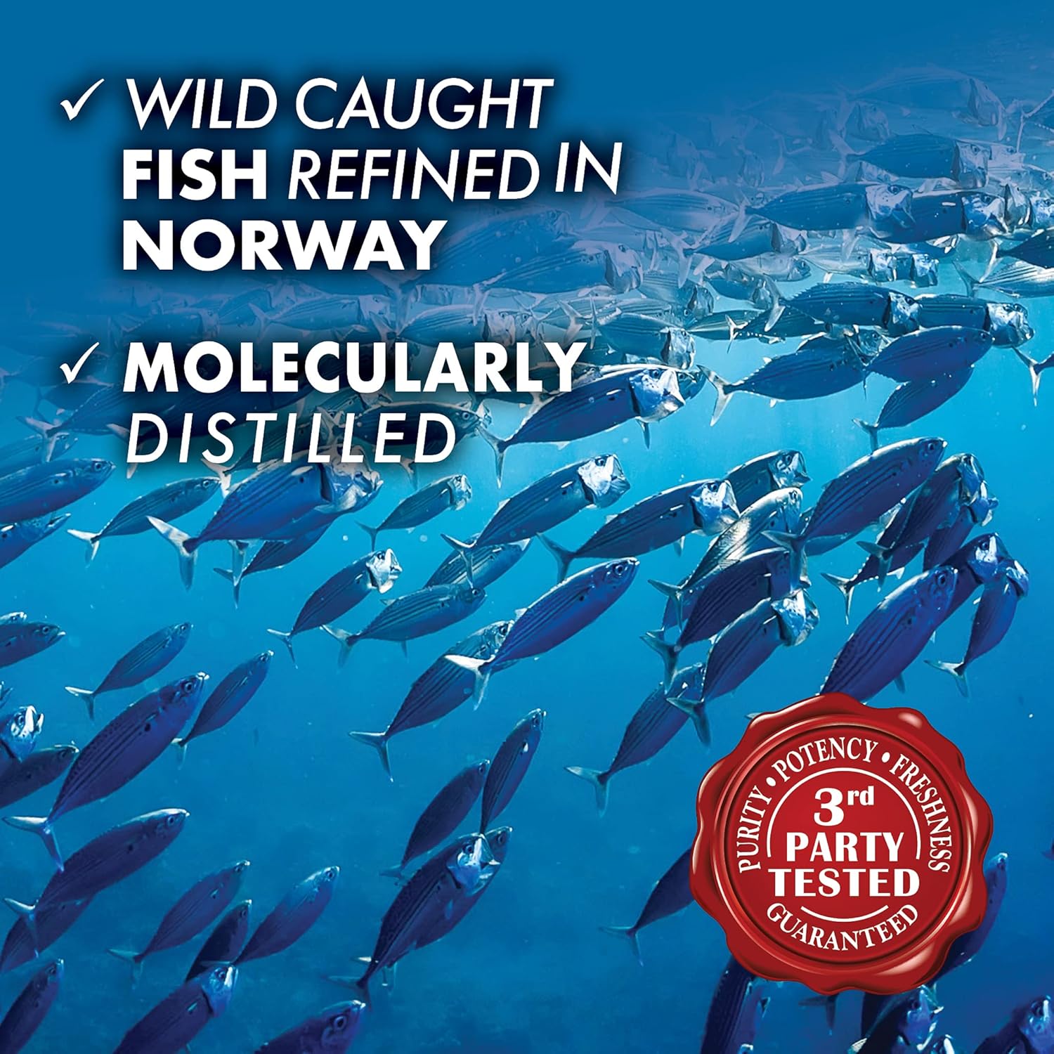 bluebonnet-nutrition-omega-3-brain-formula-1000mg-dha-210mg-epa-supplement---cognitive-health-wellness-support-with-wild-caught-triglyceride-form-highly-concentrated-softgels-lemon-flavor---120-count-4