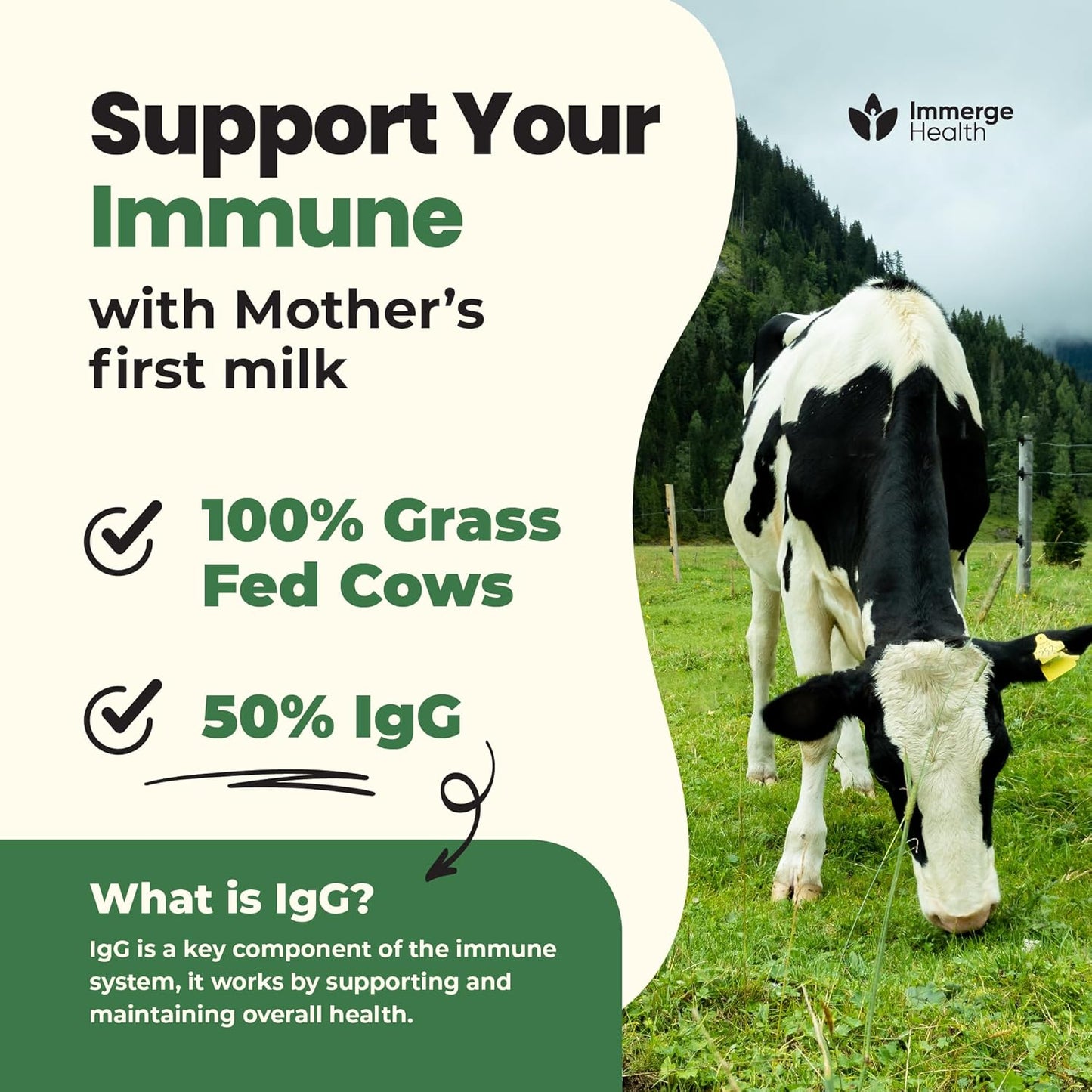 super-moo-grass-fed-bovine-colostrum-powder---immune-gut-health-supplement-for-bloating-energy-hair-skin-nails---50-igg-cow-colostrum-superfood-for-women-men-kids---immergehealthcom-4