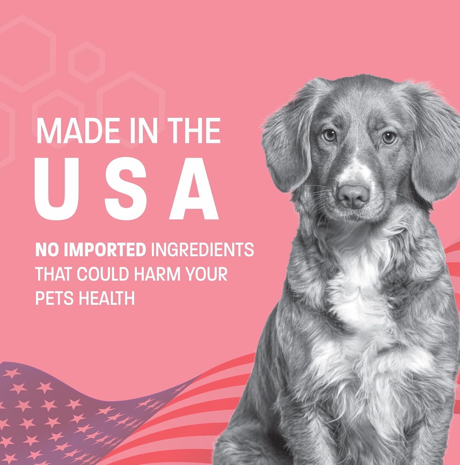 pet-health-pros-probiotic-gel-for-dogs-cats---promotes-digestive-health---anti-diarrhea-probiotics-for-pets---ideal-for-travel-kenneling-training---30-cc-5