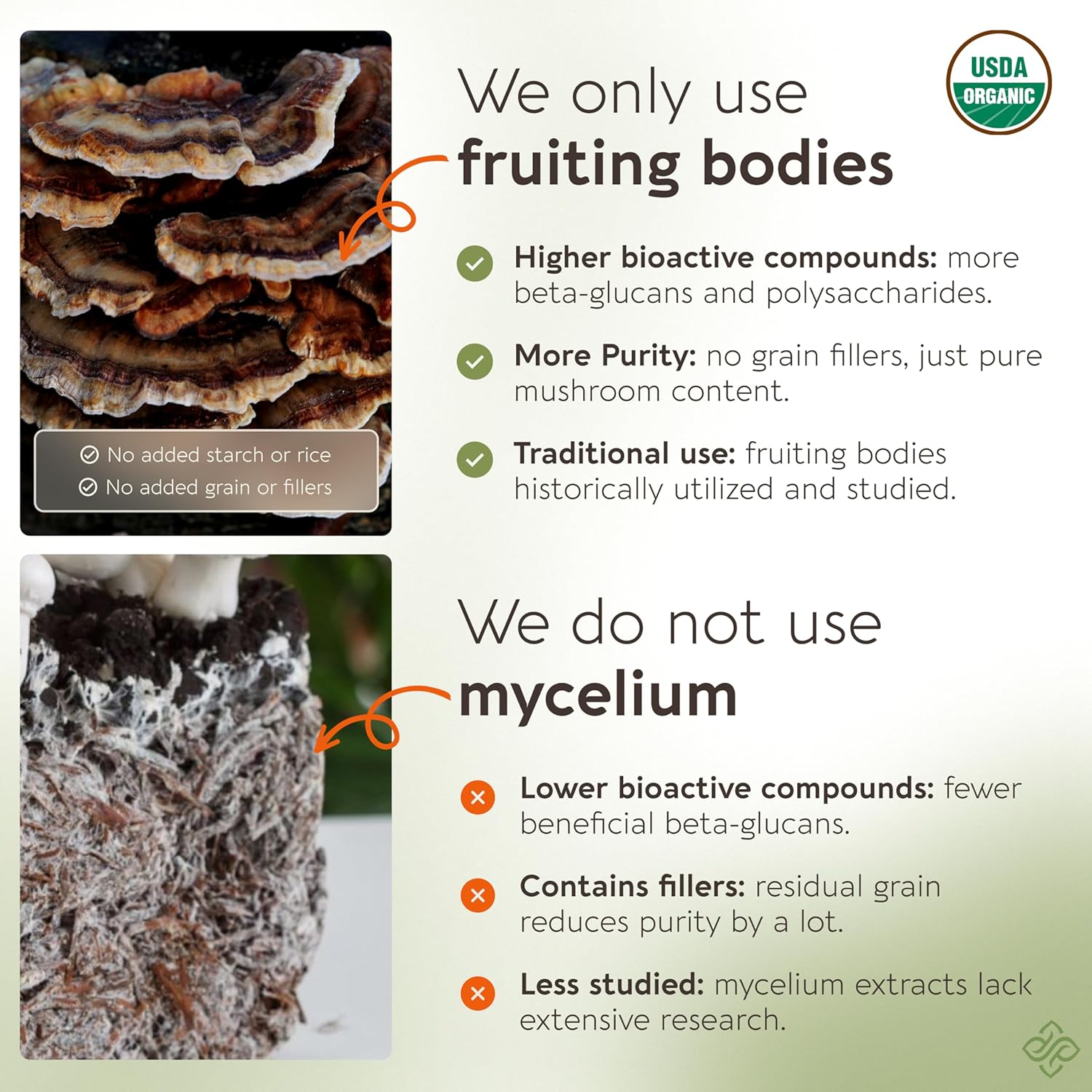 organic-turkey-tail-mushroom-powder-supplement-for-balanced-immune-digestive-system---100-fruiting-body---100g-3