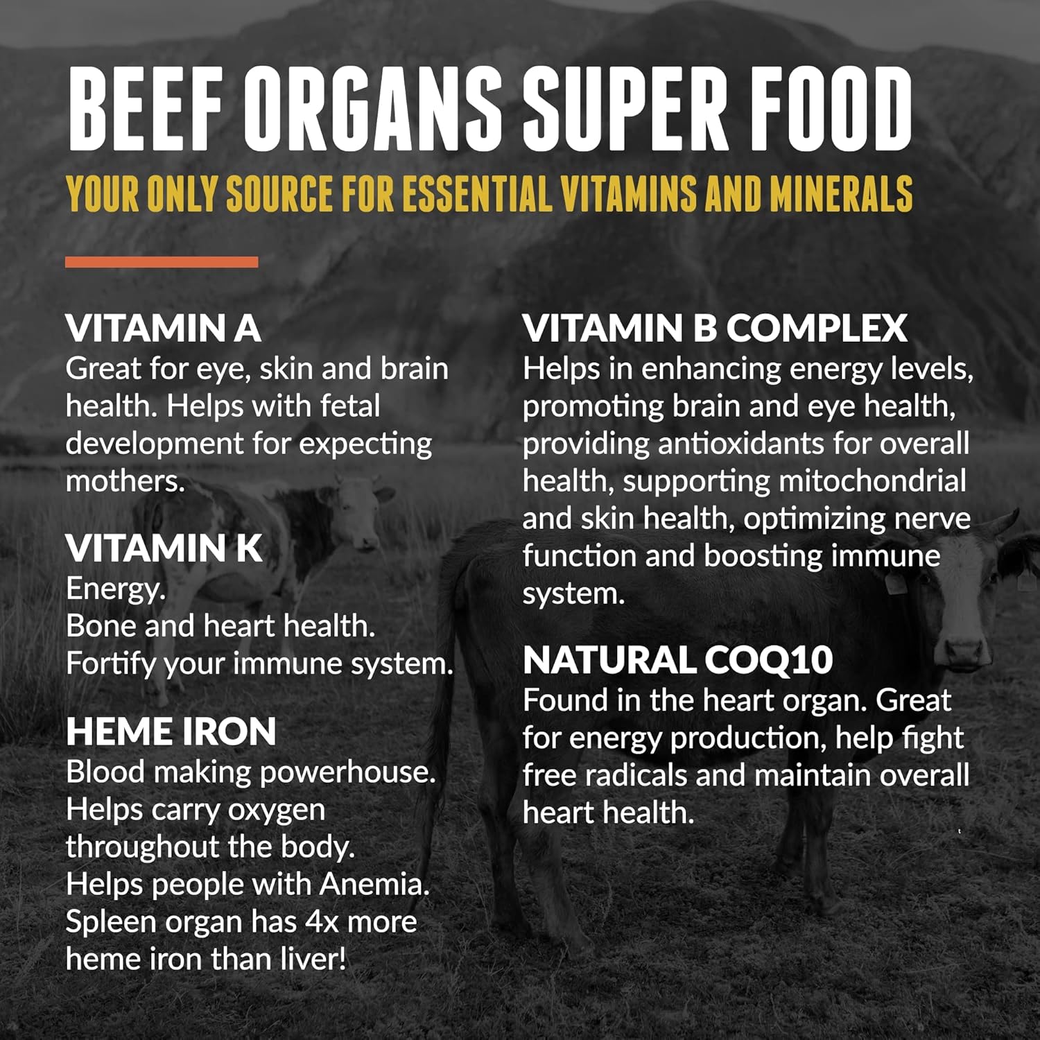 beef-organ-and-collagen-supplement-by-one-earth-health---boost-your-health-naturally-with-premium-ingredients-7