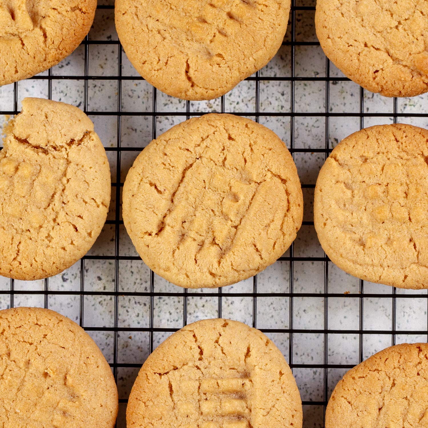 non-gmo-vegan-peanut-protein-powder-by-peanut-butter-co---gluten-free-65-oz-jar-8