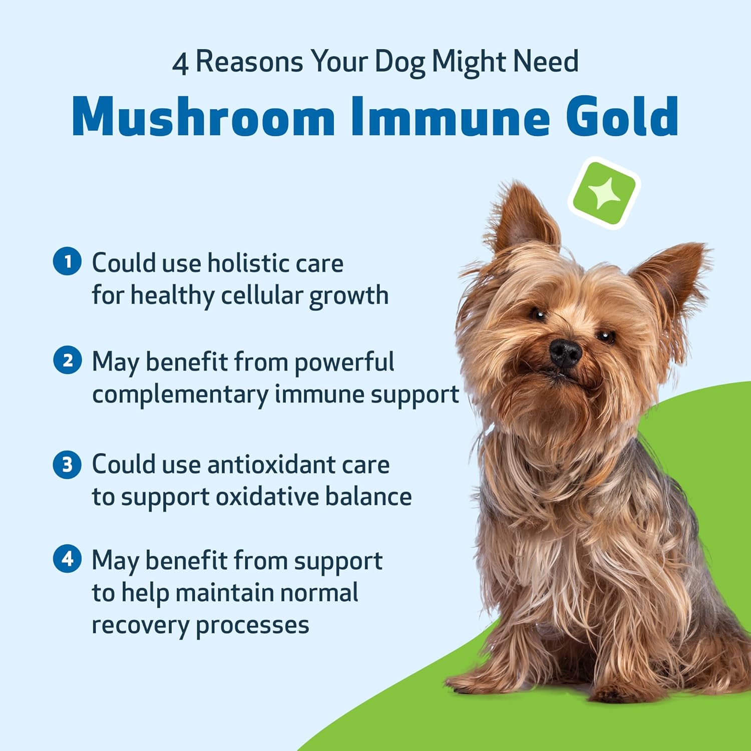 natural-mushroom-immune-support-for-dogs-and-cats---pet-wellbeing-immune-gold---8oz-bottle---boost-your-pets-immune-system-3
