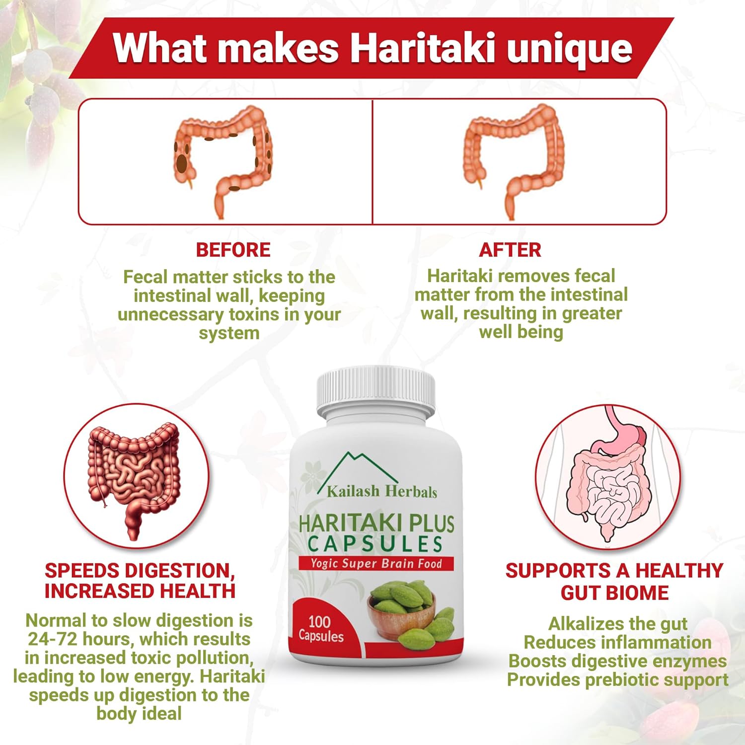 organic-haritaki-capsules-2420mg---digestion-support-detox-rejuvenation---regularity-brain-function---100-capsules-terminalia-chebula-vegan-non-gmo-5