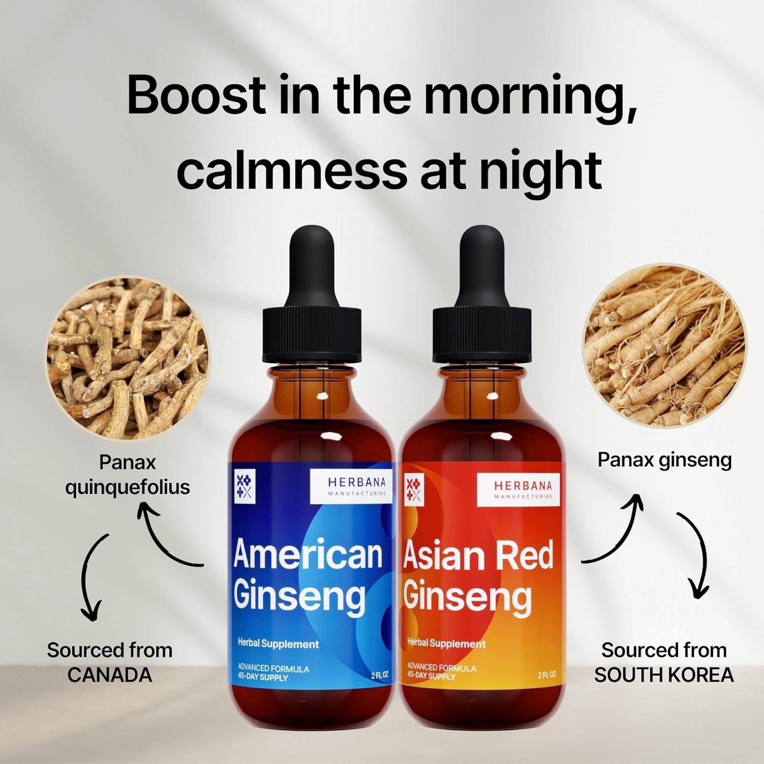 herbana-manufacturing-panax-ginseng-liquid-extract---energy-focus-immune-support-tincture---asian-red-american-ginseng-blend-2-pack-5
