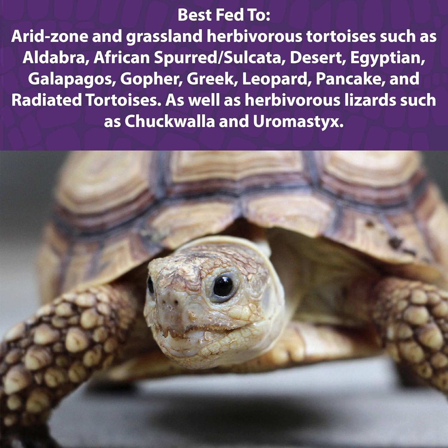 mazuri-low-starch-tortoise-diet-food---25-lb-bag-3