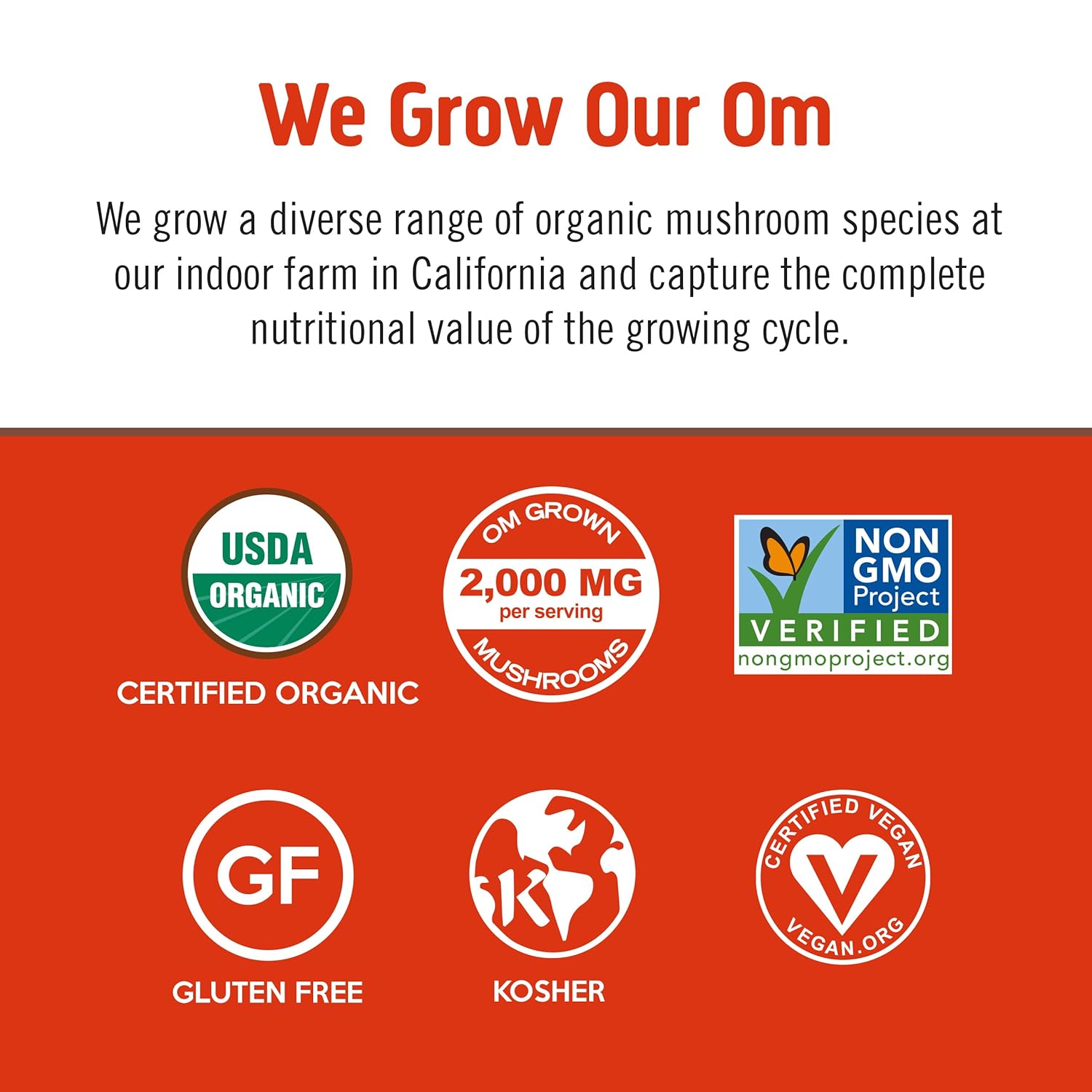 om-mushroom-superfood-morning-energy-blend-mushroom-powder-drink-single-serve-packets---10-count-coffee-alternative-with-cordyceps-vitamin-d2-agaricus-bisporus-lions-mane-rhodiola-turkey-tail-natural-energy-boost-4