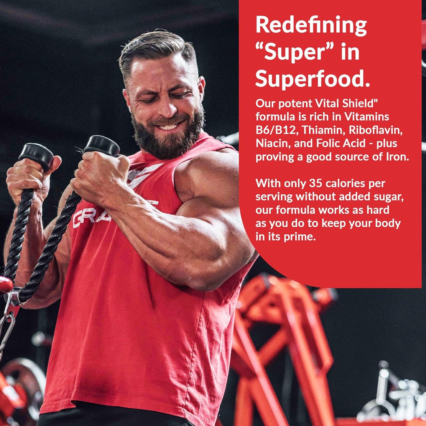 Granite Supplements Vital Shield Very Berry Greens Superfood Powder - Supports Performance, Gut Health, Immunity, & Nutrition - 30 Servings - Espot.com.au