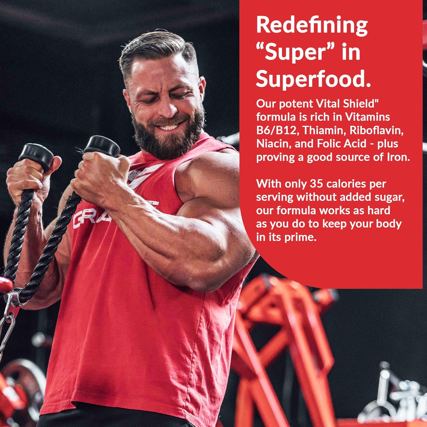 Granite Supplements Vital Shield Very Berry Greens Superfood Powder - Supports Performance, Gut Health, Immunity, & Nutrition - 30 Servings - Espot.com.au