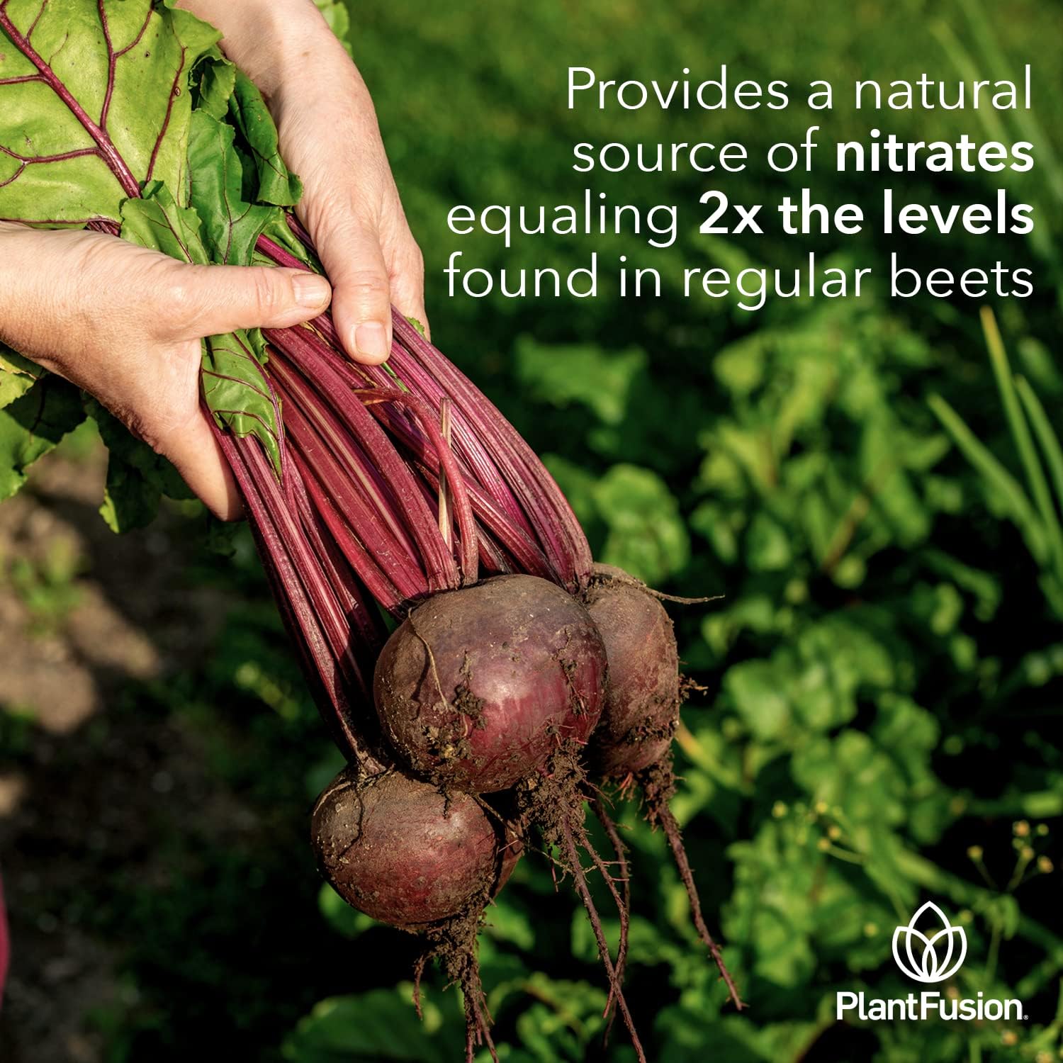 plantfusion-organic-beet-root-powder---boost-blood-flow-circulation---whole-food-nutrition---non-gmo-vegan-gluten-free---634-oz-4