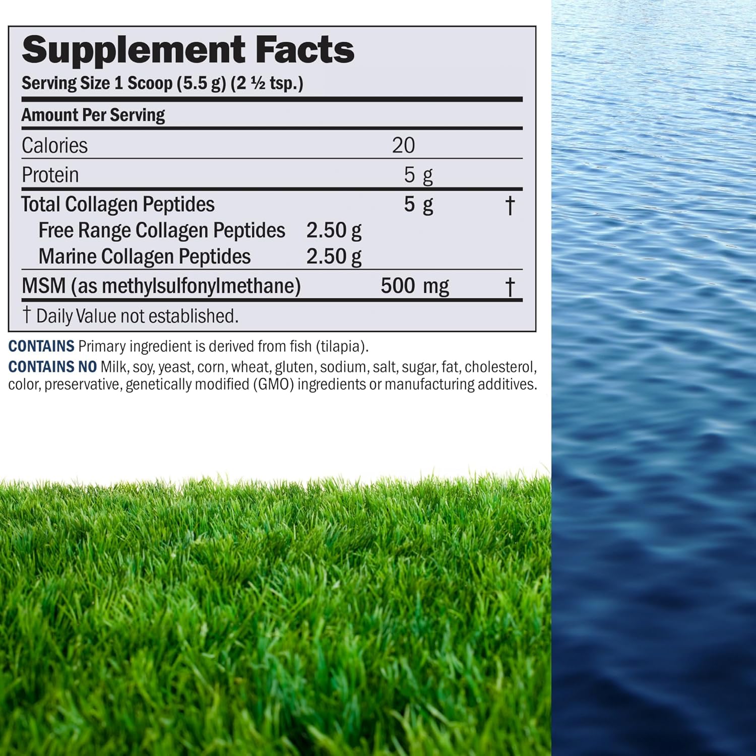 marine-free-range-collagen-peptides-powder-with-msm---30-servings-for-skin-joint-support-super-soluble-no-fishy-flavor-non-gmo-2