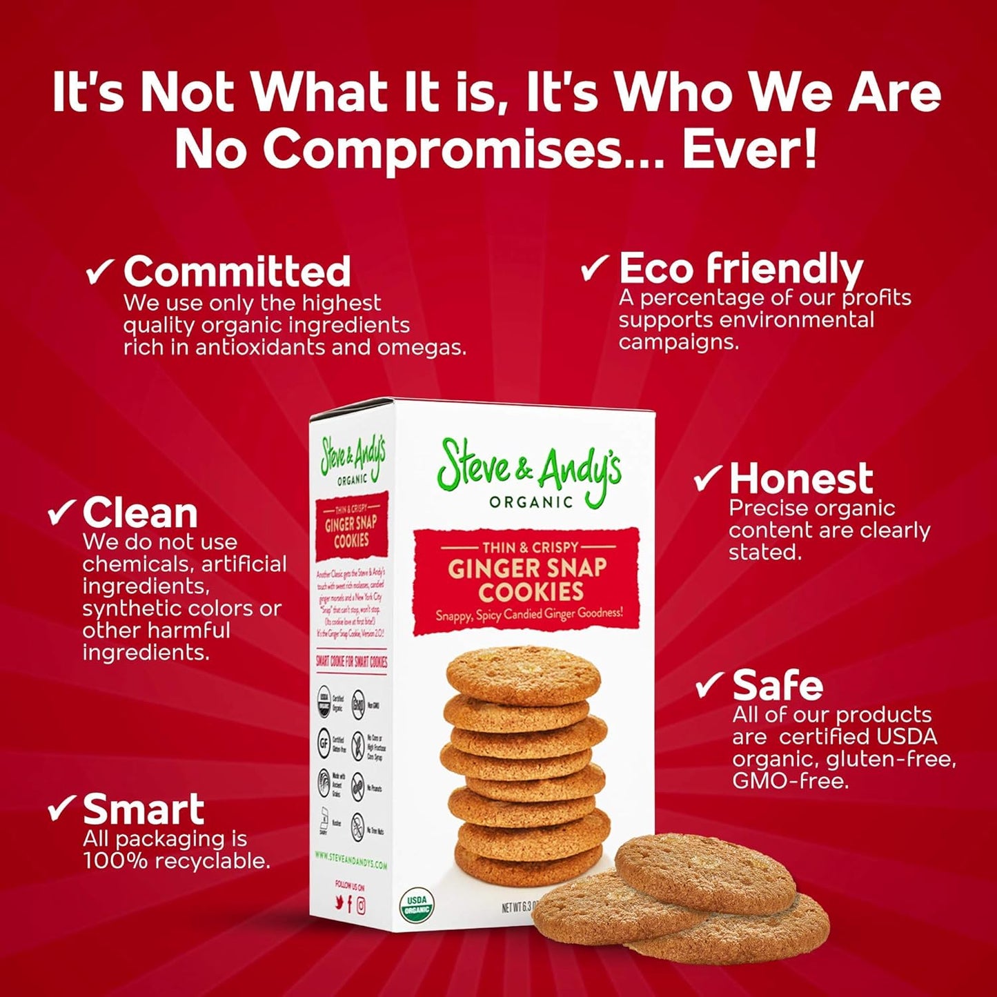 organic-gingerbread-cookies-by-steve-andy-63-oz---delicious-and-healthy-treats-for-snacking-or-dessert-2