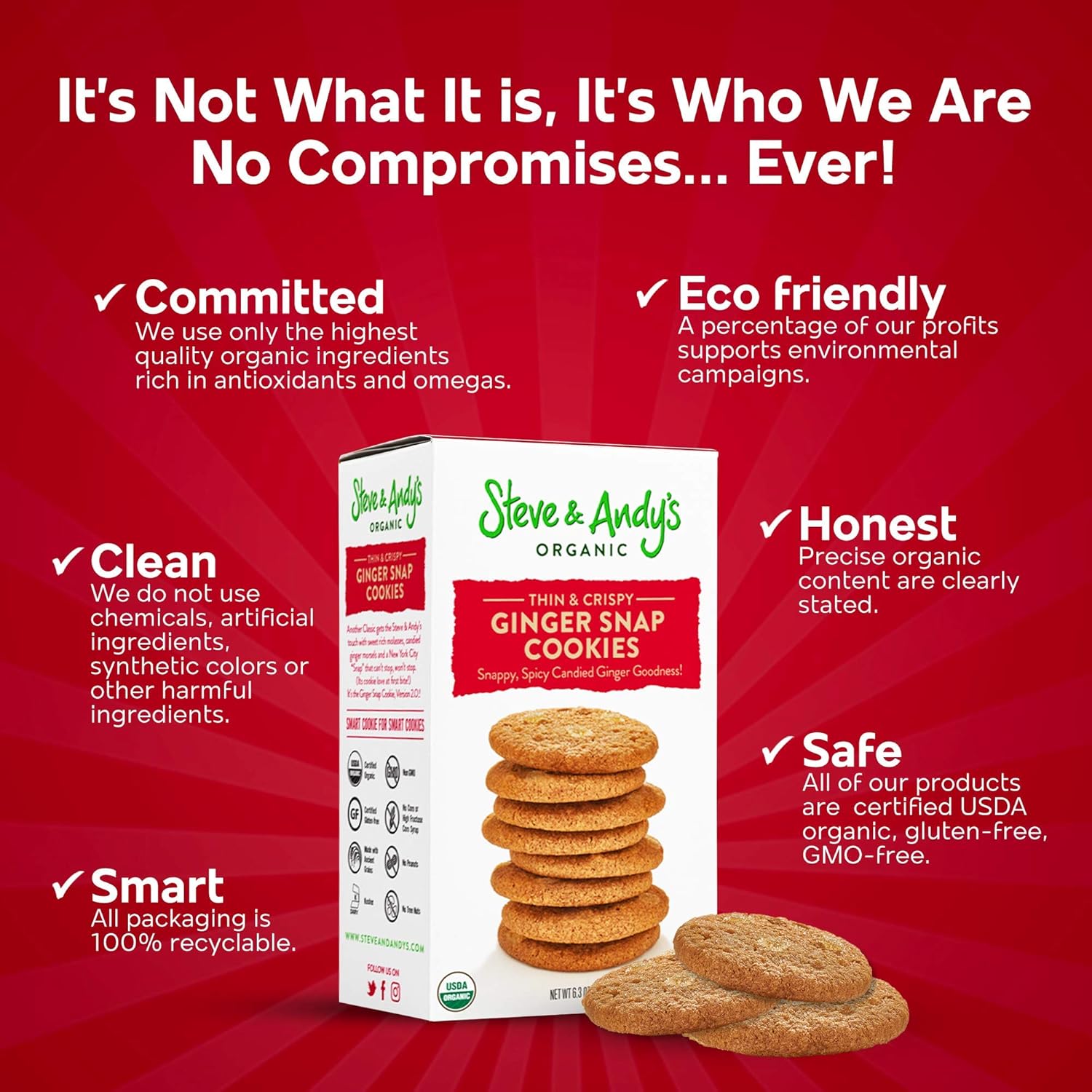 organic-gingerbread-cookies-by-steve-andy-63-oz---delicious-and-healthy-treats-for-snacking-or-dessert-2