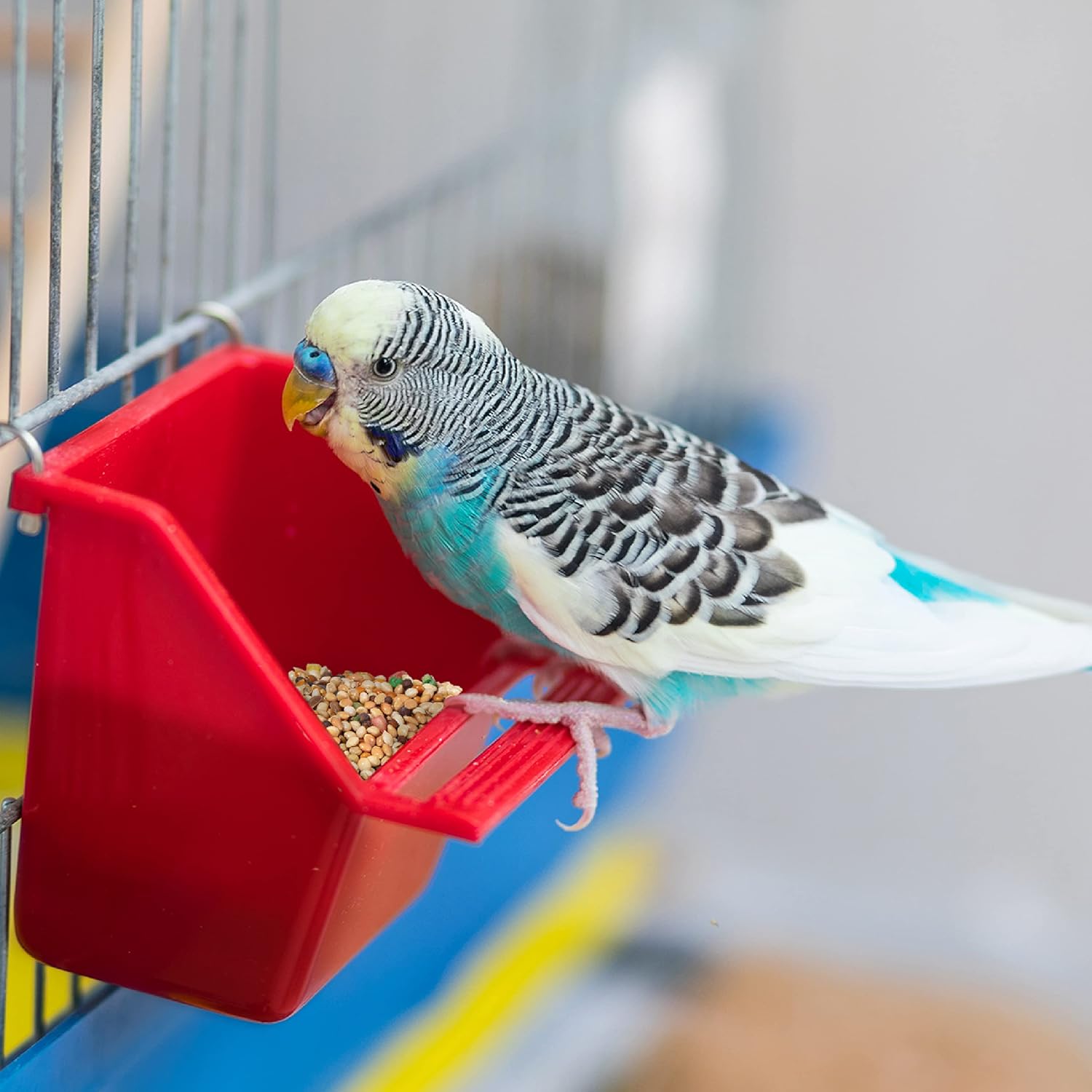 nutritious-wild-harvest-daily-blend-for-parakeets-canaries-and-finches---5-pounds-7