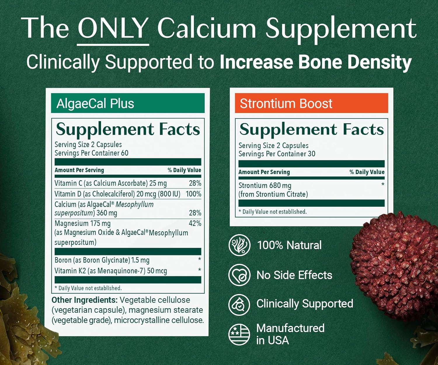 algaecal-bone-builder-pack---plant-based-calcium-strontium-supplement-for-bone-density-vitamins-k2-d3-magnesium-16-essential-nutrients-7