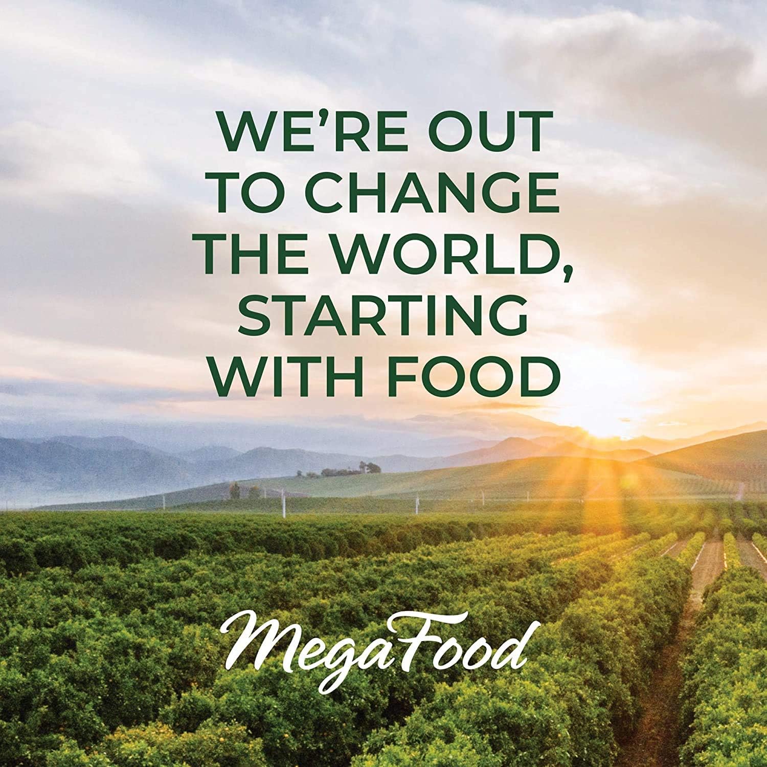 vegan-chewable-vitamin-c-gummies---tangy-citrus-flavor-immune-support-supplement-with-real-food-ingredients---gluten-free---70-gummy-vitamins-8