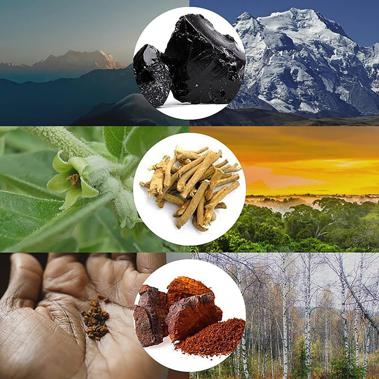 organic-peabloom-shilajit-gummies-for-men---120-count-ashwagandha-ginseng-infused-with-79-fulvic-acid-88-trace-minerals---non-gmo-sugar-free-6