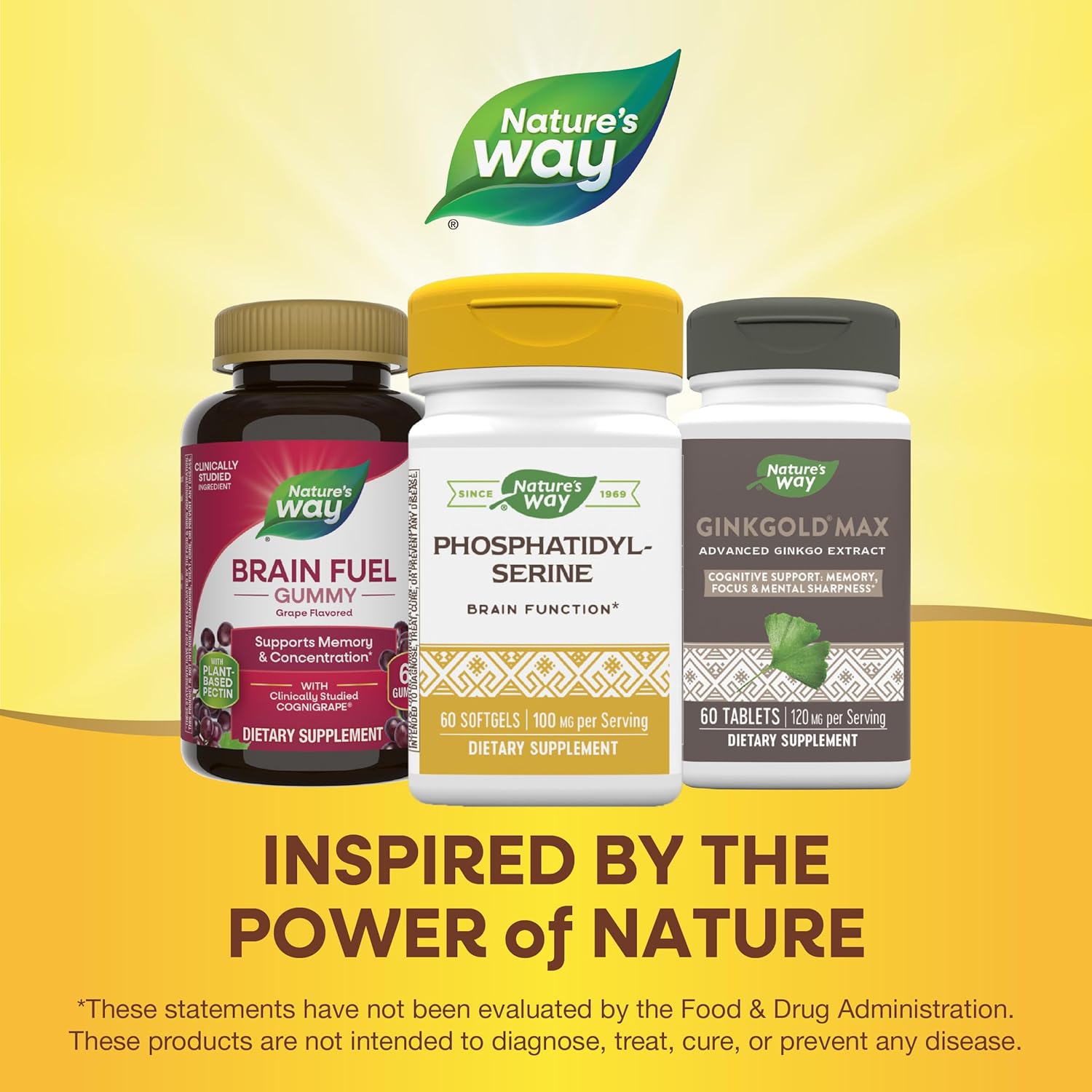 natural-brain-function-support-supplement---60-softgels-by-natures-way-6