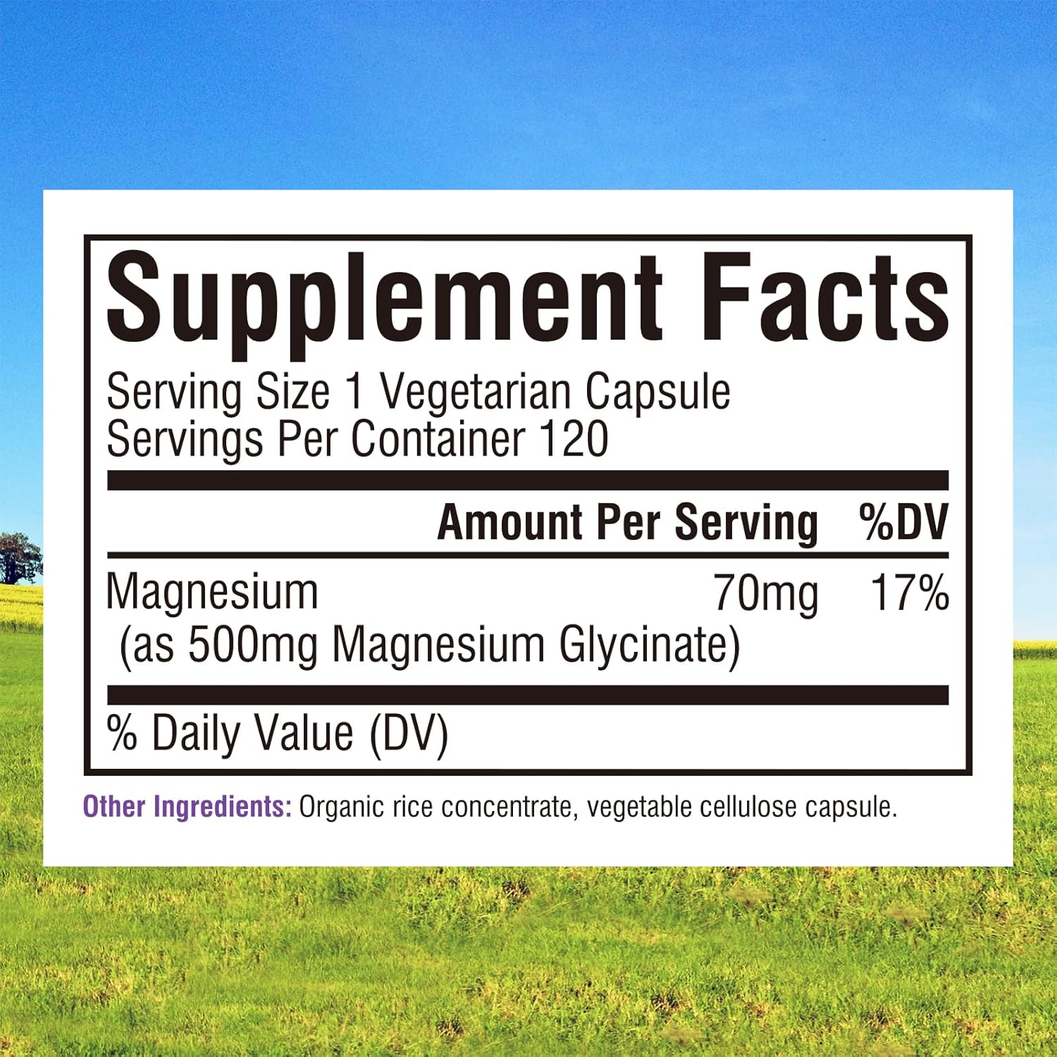 high-absorption-magnesium-glycinate-500mg-70mg-elemental-magnesium-supplement---non-gmo-gluten-free---promotes-nerve-muscle-and-bone-health---120-vegan-capsules-3