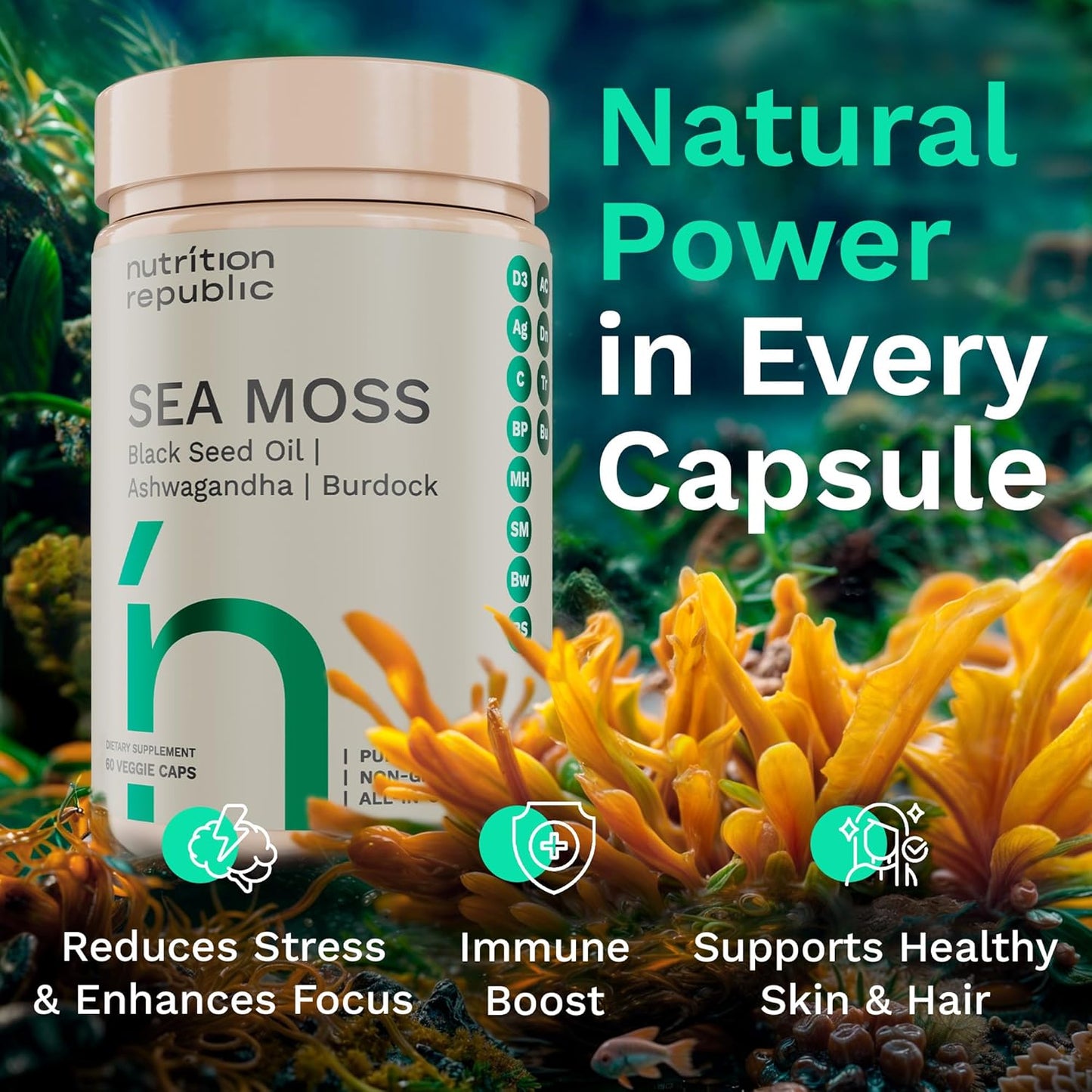 sea-moss-supplement-capsules-with-black-seed-oil-ashwagandha-burdock-root-vitamin-c---60-veggie-capsules-for-multimineral-support-2
