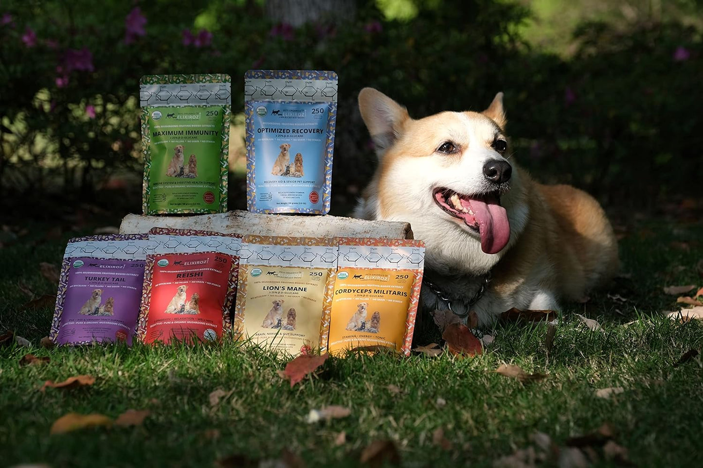 organic-pet-immunity-booster-with-mushrooms-for-dogs-cats---veterinarian-formulated-with--glucan-reishi-extracts-8