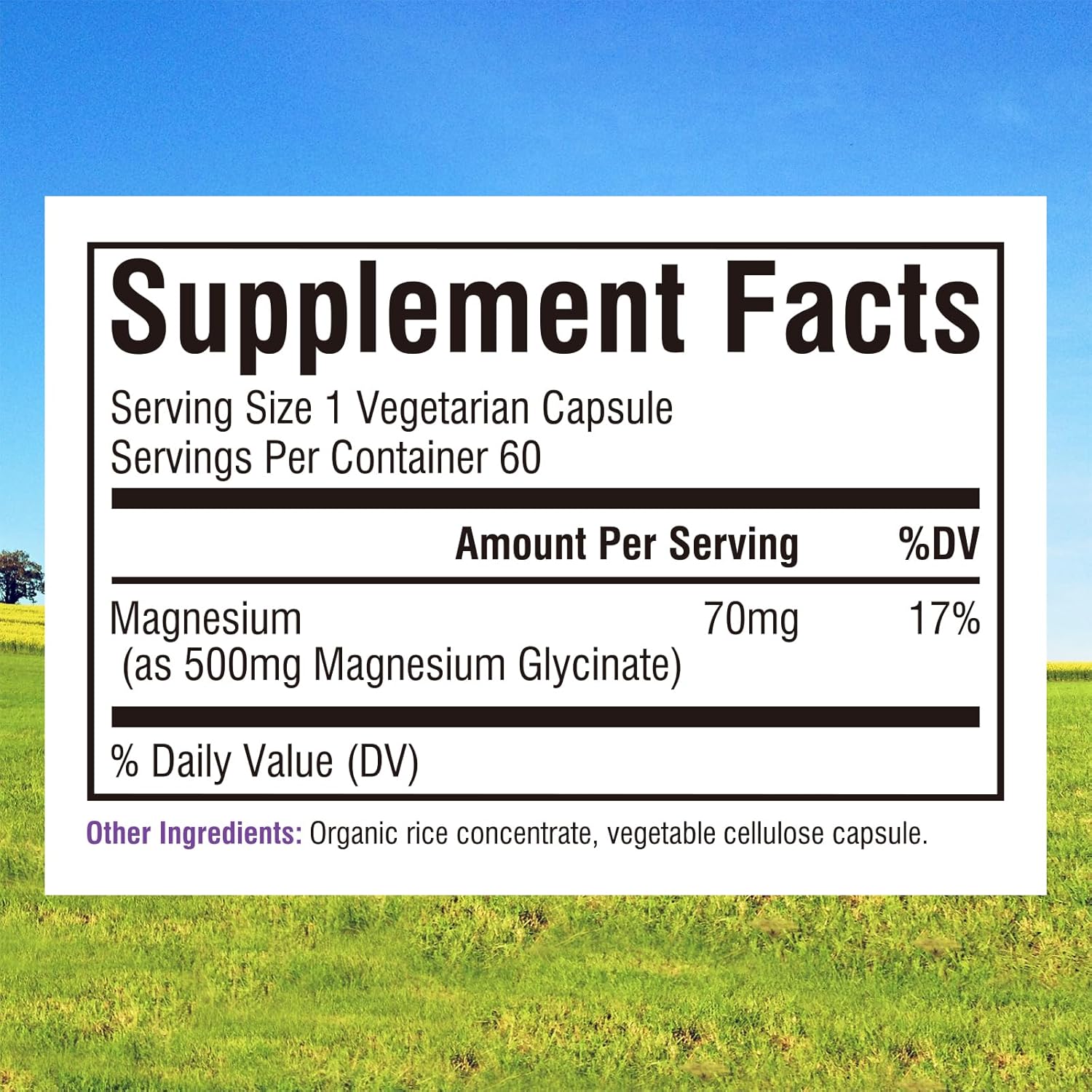high-absorption-magnesium-glycinate-supplement-500mg-70mg-elemental-magnesium---nerve-muscle-bone-heart-health---non-gmo-gluten-free---60-vegan-capsules-2