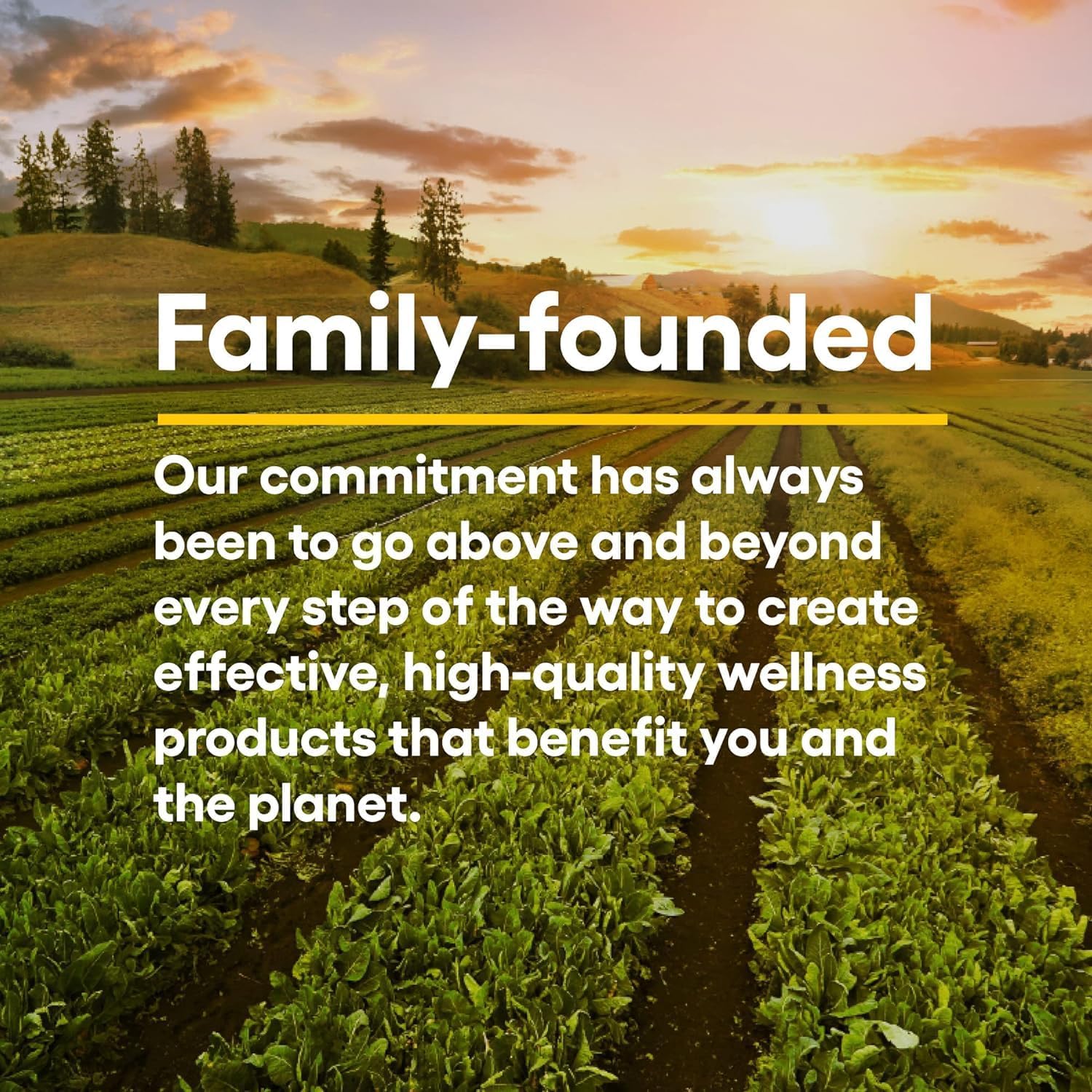 Certified Organic Oil of Oregano - Herbal Immune Support Supplement, Vegan, Non-GMO (2 Oz) by Natural Factors - Espot.com.au