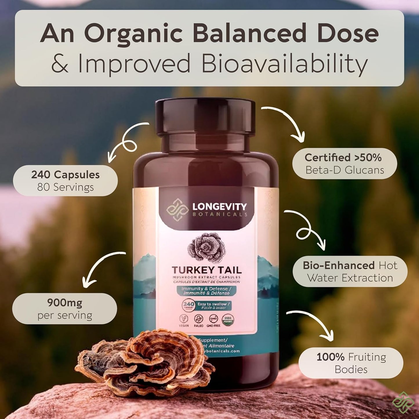 longevity-botanicals-organic-turkey-tail-mushroom-capsules---immune-digestive-support---100-fruiting-body---240-capsules-4