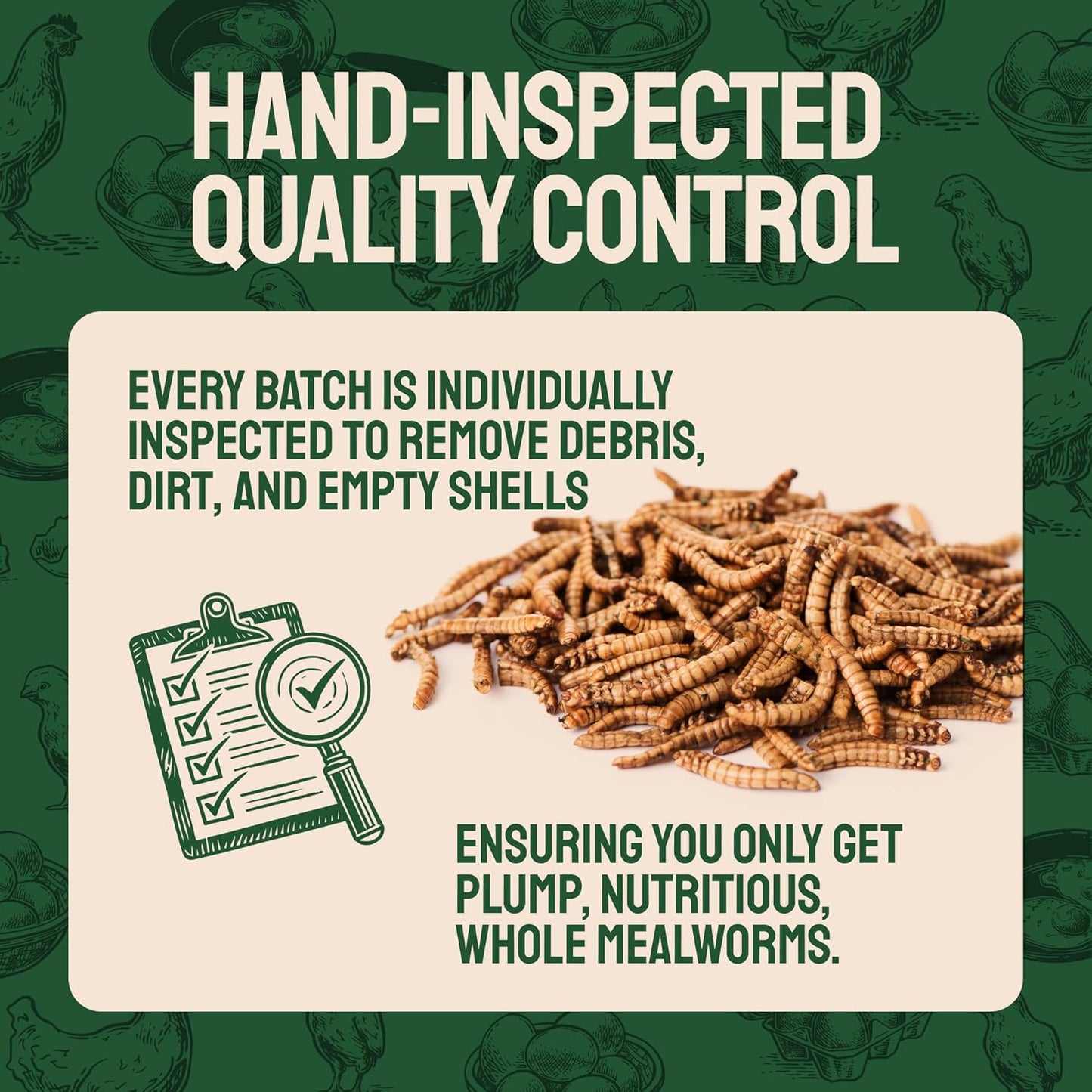 organic-non-gmo-dried-mealworms-10-lbs---chicken-feed-treats-for-laying-hens---bulk-mealworms-for-birds---premium-chick-feed-supplement-3