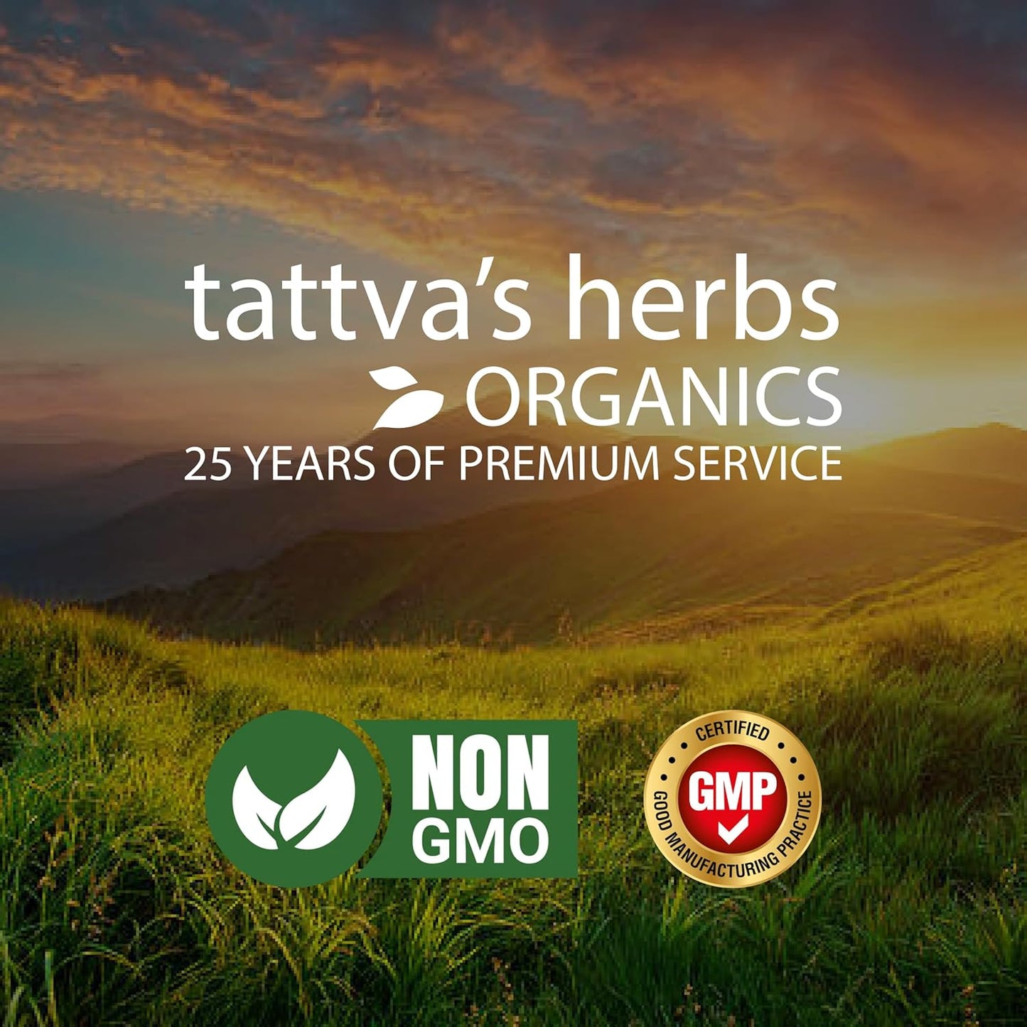 organic-ashwagandha-capsules---2-month-supply-120-veggie-capsules-by-tattvas-herbs-10