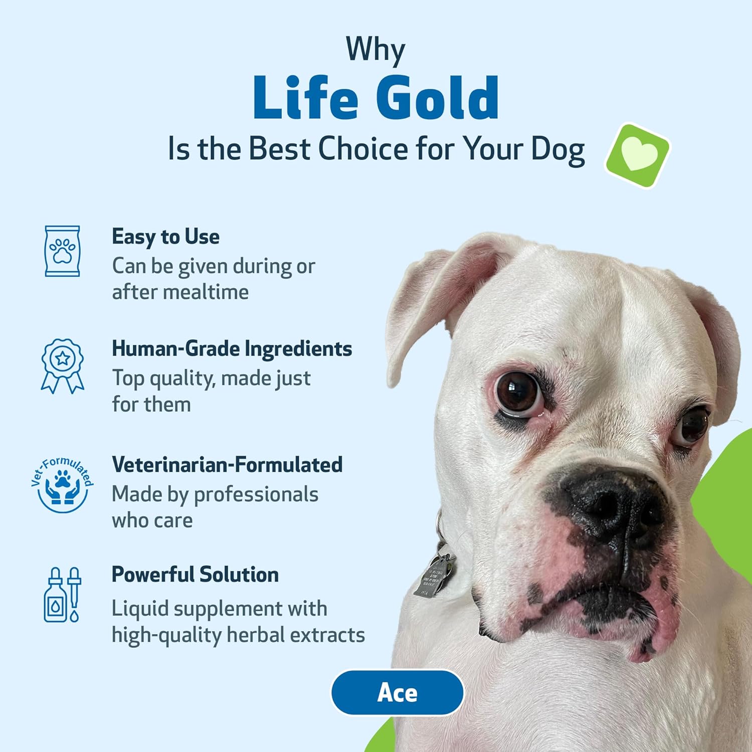 pet-wellbeing-immune-system-support-kit-with-mushrooms-for-dogs-cats---vet-formulated-for-antioxidant-protection---includes-turkey-tail-reishi-maitake-astragalus-8
